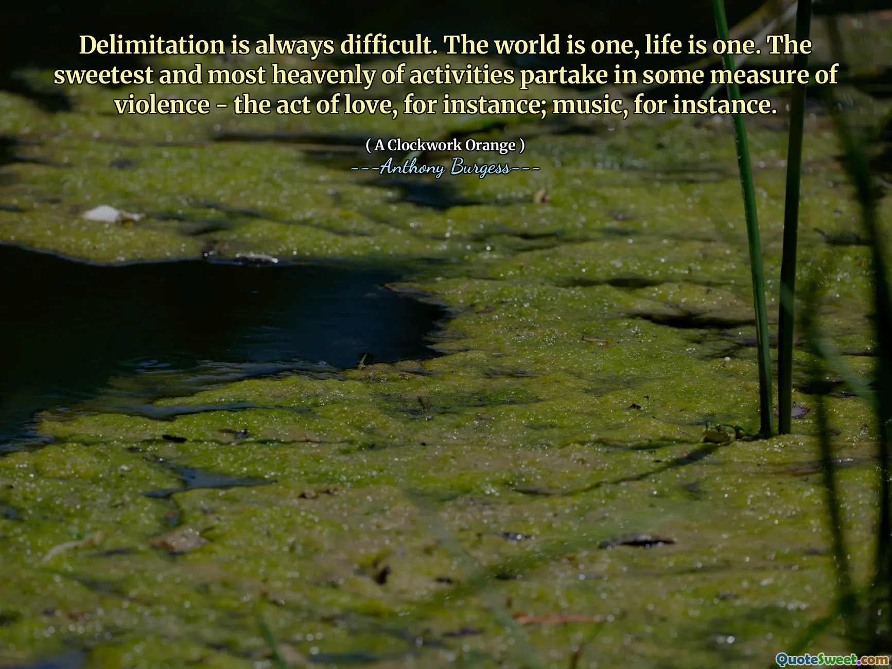 Delimitation is always difficult. The world is one, life is one. The sweetest and most heavenly of activities partake in some measure of violence - the act of love, for instance; music, for instance.