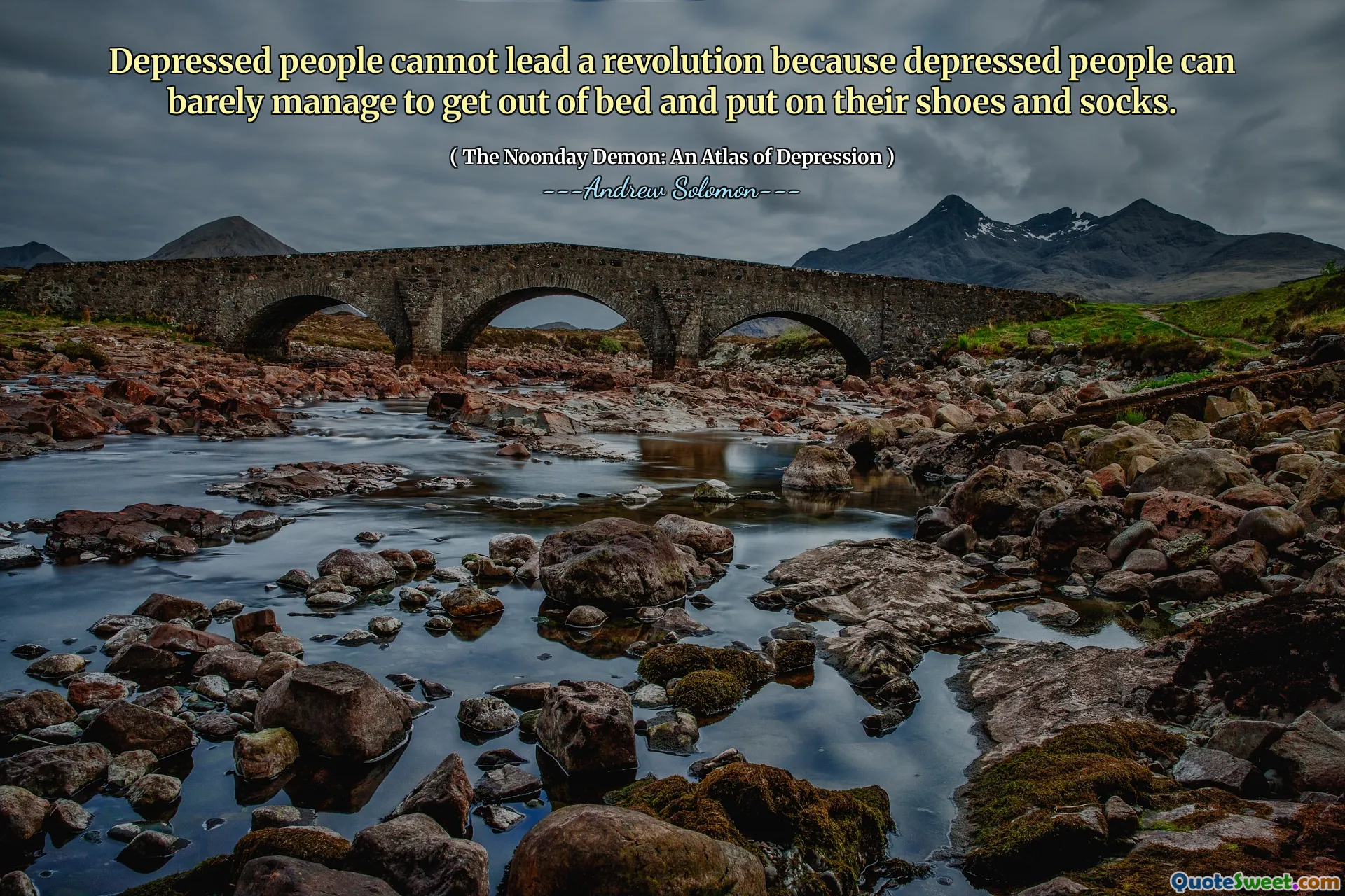 Depressed people cannot lead a revolution because depressed people can barely manage to get out of bed and put on their shoes and socks.