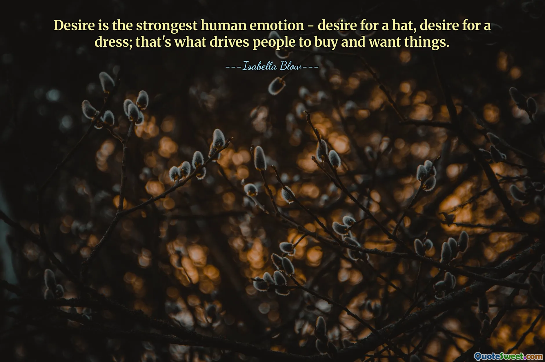 Desire is the strongest human emotion - desire for a hat, desire for a dress; that's what drives people to buy and want things.