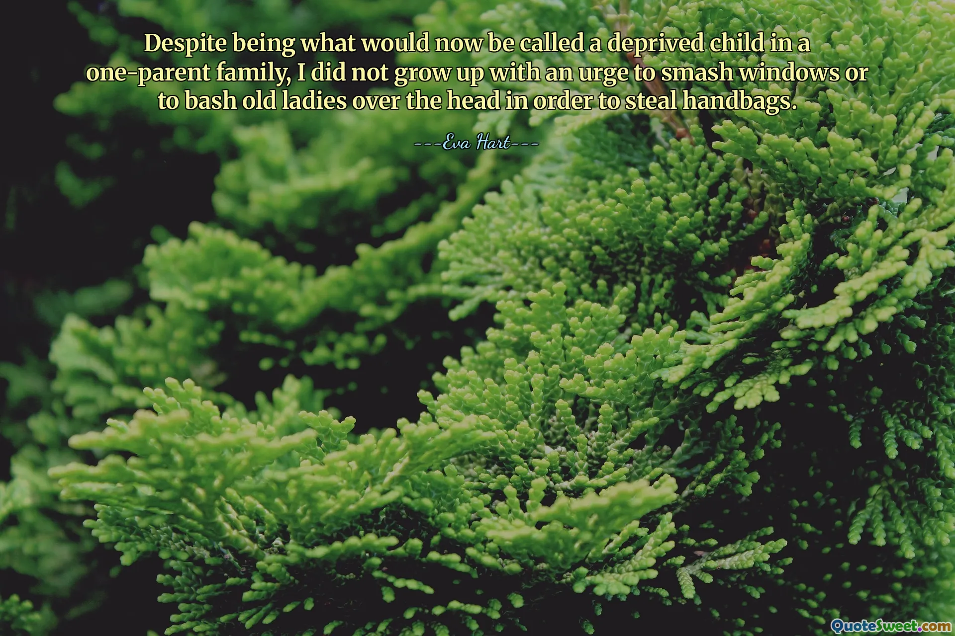 Despite being what would now be called a deprived child in a one-parent family, I did not grow up with an urge to smash windows or to bash old ladies over the head in order to steal handbags.