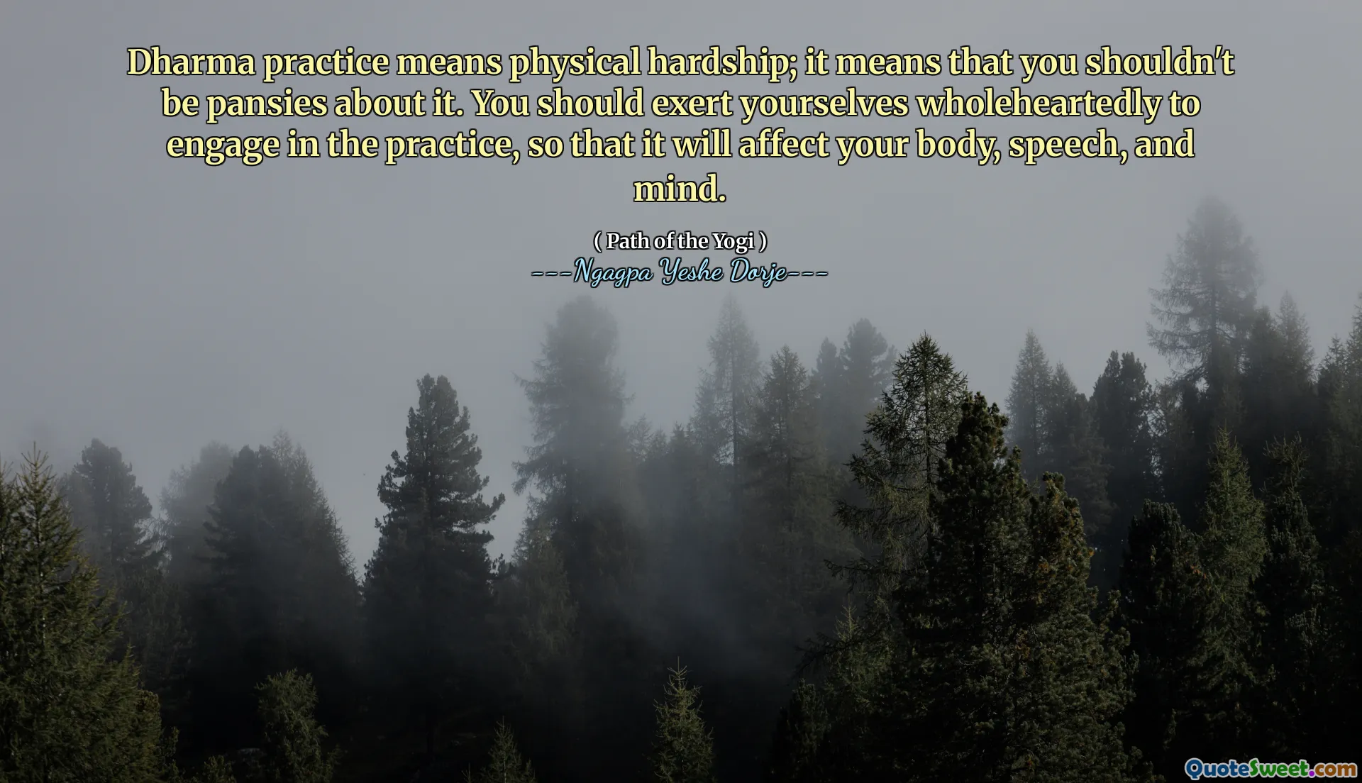 Dharma practice means physical hardship; it means that you shouldn't be pansies about it. You should exert yourselves wholeheartedly to engage in the practice, so that it will affect your body, speech, and mind.