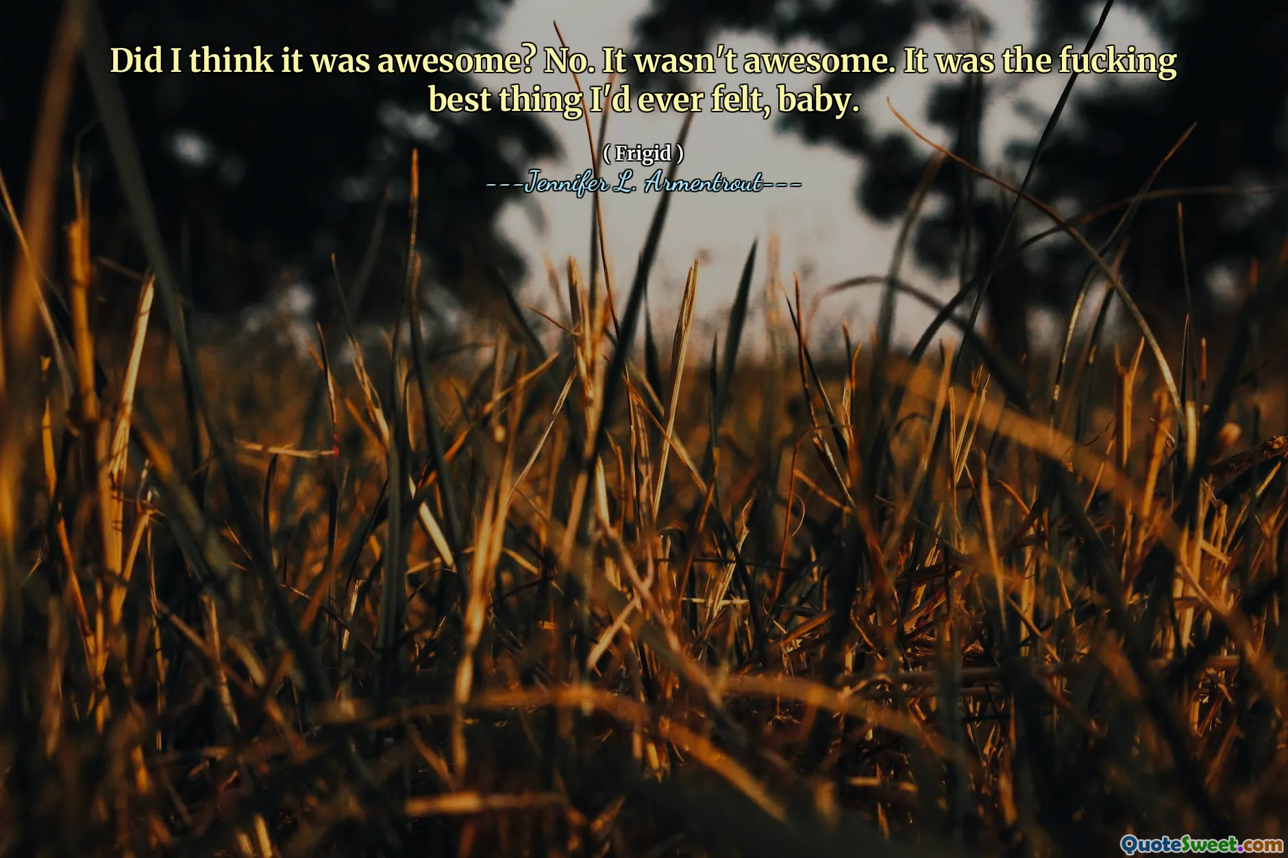 Did I think it was awesome? No. It wasn't awesome. It was the fucking best thing I'd ever felt, baby.