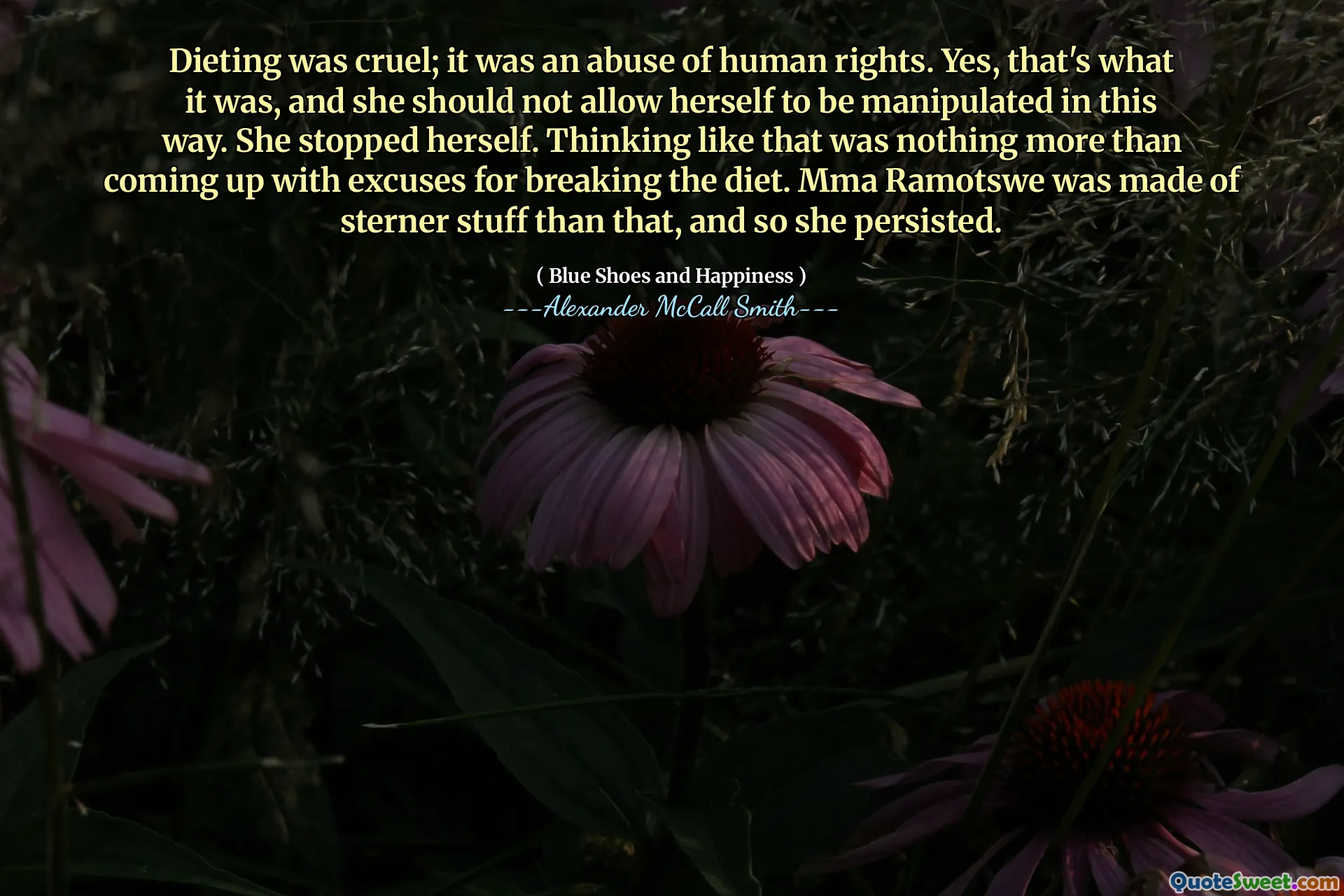 Dieta była okrutna; Było to nadużycie praw człowieka. Tak, tak właśnie było i nie powinna pozwolić sobie na manipulowanie w ten sposób. Zatrzymała się. Myślenie, że to było niczym więcej niż wymyślaniem wymówek dla łamania diety. MMA Ramotswe została wykonana z surowych rzeczy, więc upierała się.