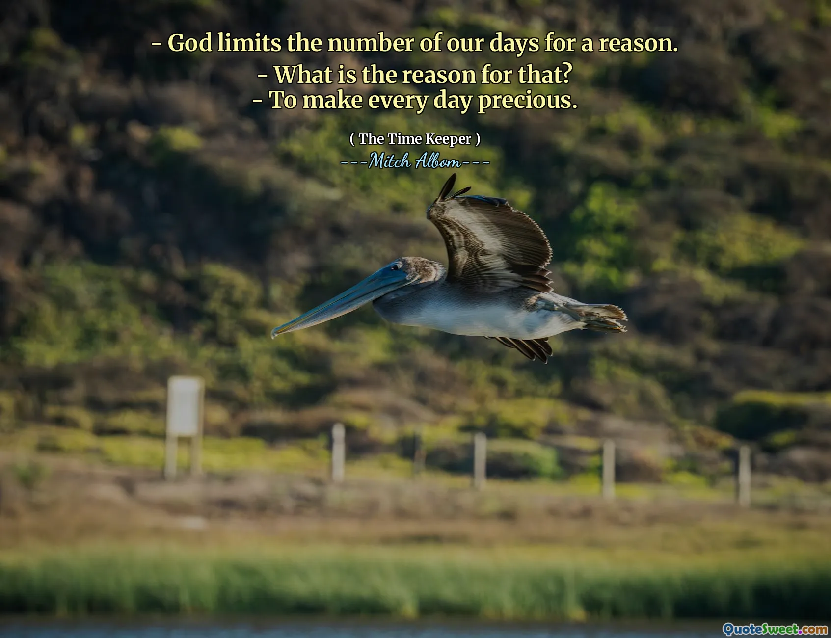- God limits the number of our days for a reason.
- What is the reason for that?
- To make every day precious.