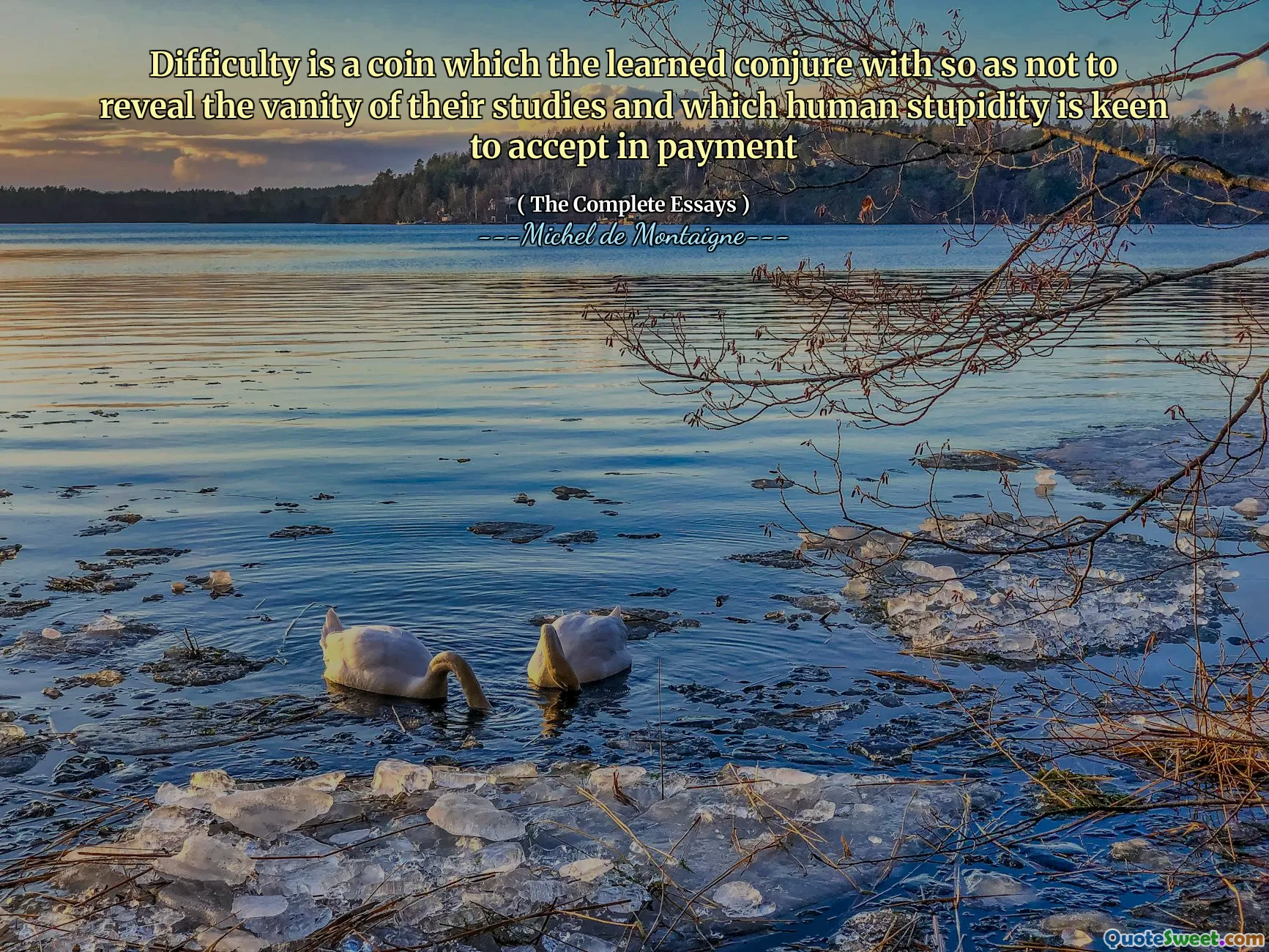 Difficulty is a coin which the learned conjure with so as not to reveal the vanity of their studies and which human stupidity is keen to accept in payment