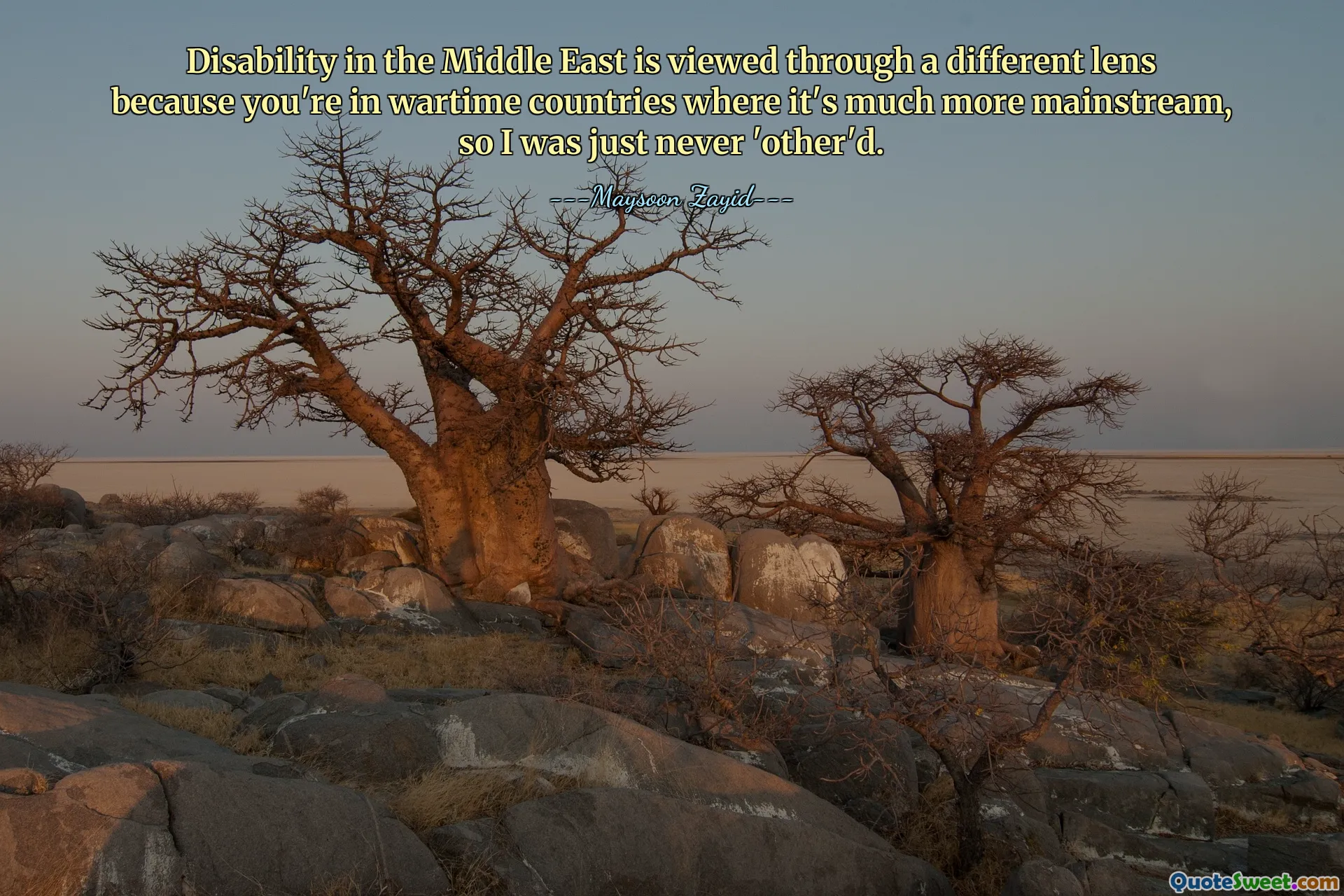 Disability in the Middle East is viewed through a different lens because you're in wartime countries where it's much more mainstream, so I was just never 'other'd.