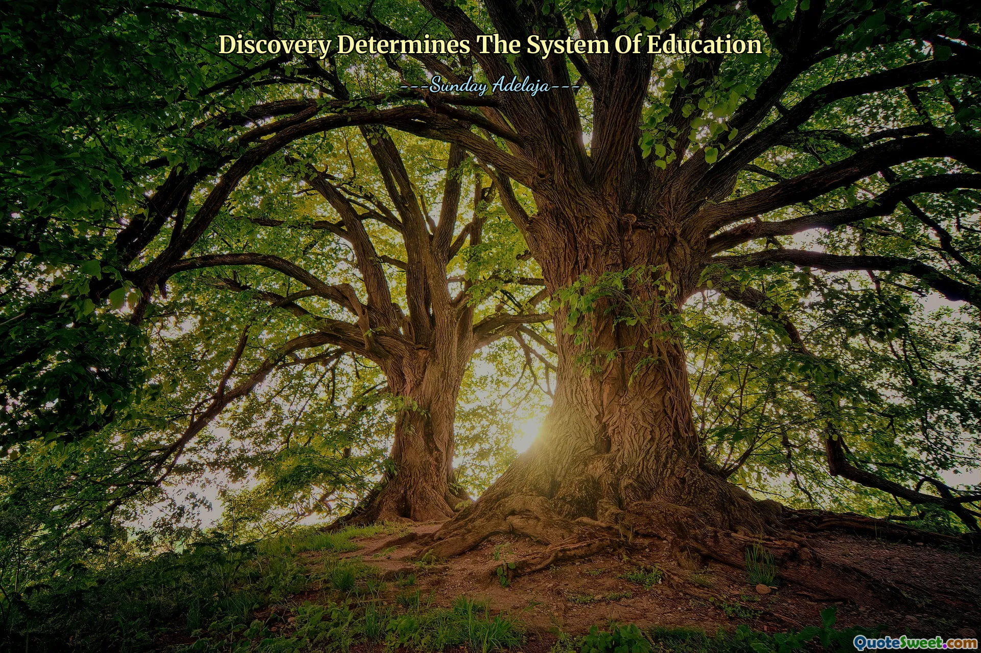 Discovery Determines The System Of Education