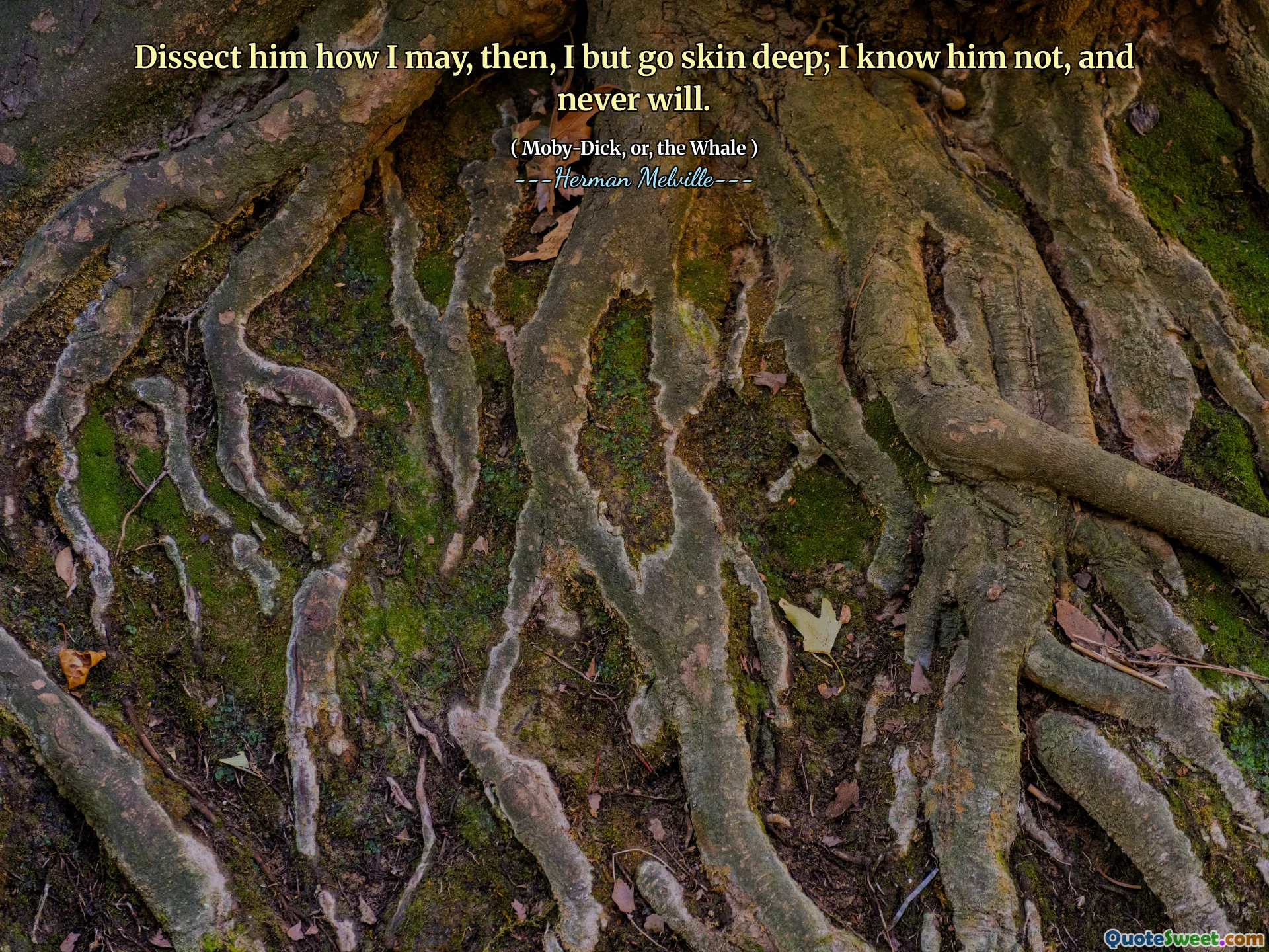 Phân tích anh ta làm thế nào tôi có thể, sau đó, tôi nhưng đi sâu vào da; Tôi biết anh ấy không, và sẽ không bao giờ.