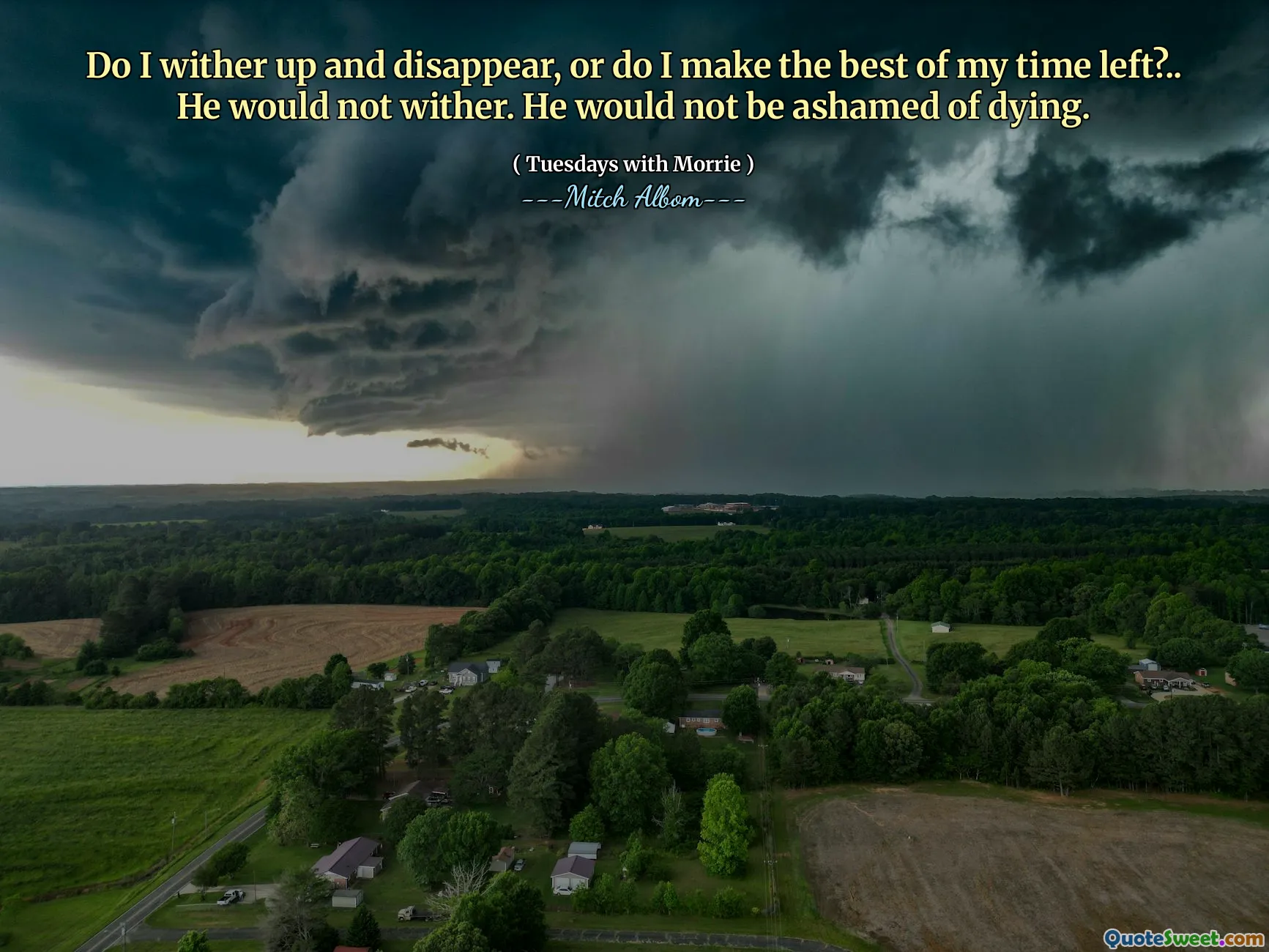 Mi appassivo e scomparisco, o mi resta il meglio del mio tempo? .. Non si avvizzerebbe. Non si vergognerebbe di morire.