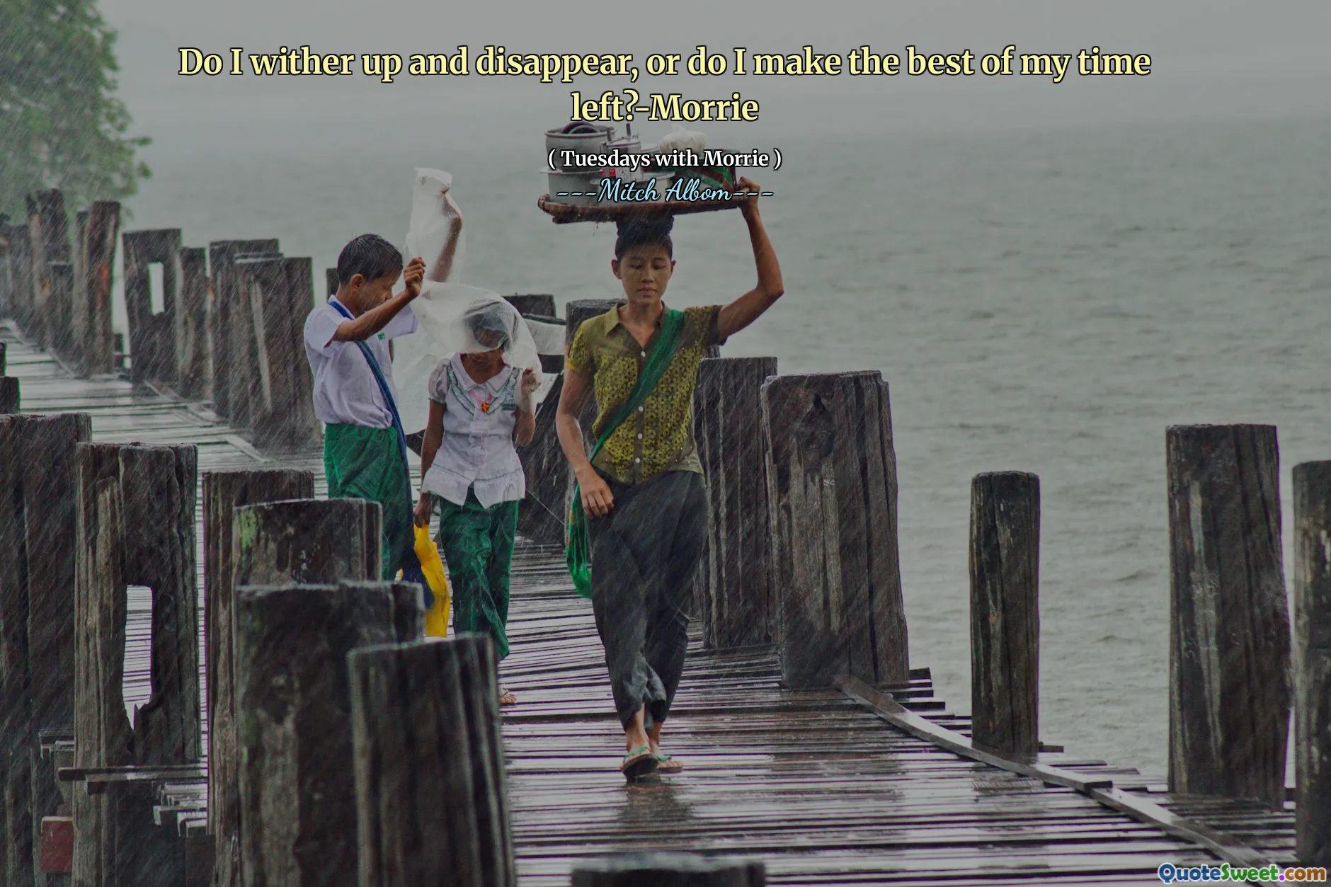 Dois-je me remonter et disparaître, ou est-ce que je tire le meilleur de mon temps? -Morrie