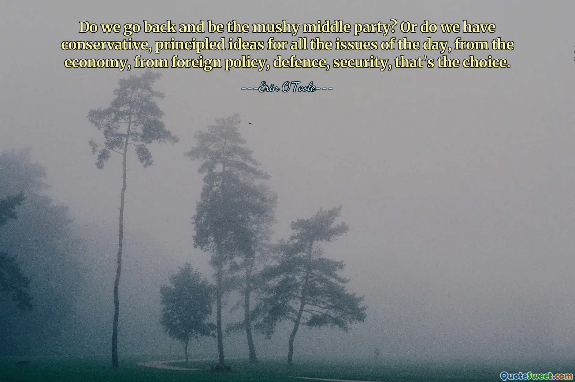 Do we go back and be the mushy middle party? Or do we have conservative, principled ideas for all the issues of the day, from the economy, from foreign policy, defence, security, that's the choice.