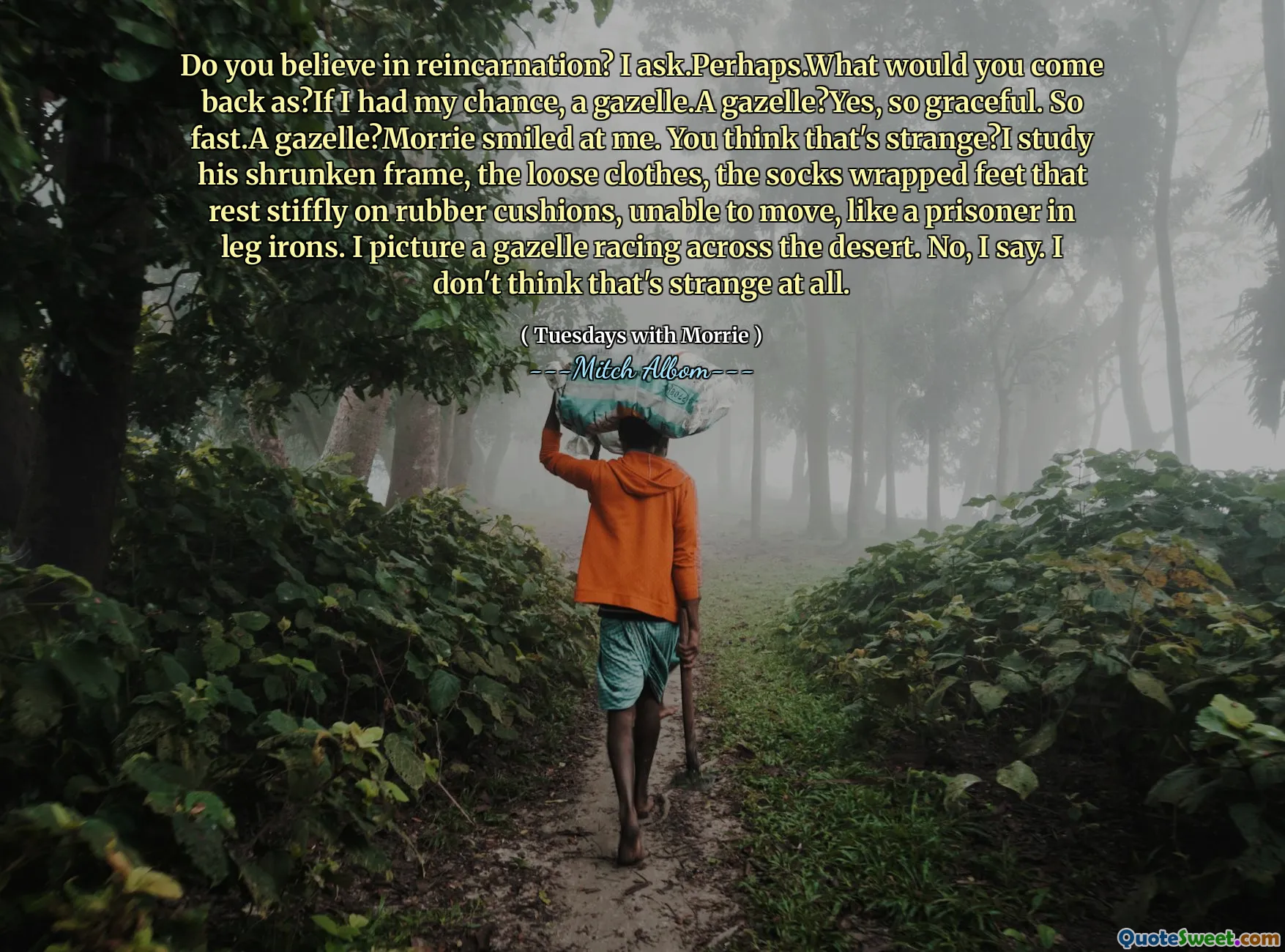 Do you believe in reincarnation? I ask.Perhaps.What would you come back as?If I had my chance, a gazelle.A gazelle?Yes, so graceful. So fast.A gazelle?Morrie smiled at me. You think that's strange?I study his shrunken frame, the loose clothes, the socks wrapped feet that rest stiffly on rubber cushions, unable to move, like a prisoner in leg irons. I picture a gazelle racing across the desert. No, I say. I don't think that's strange at all.