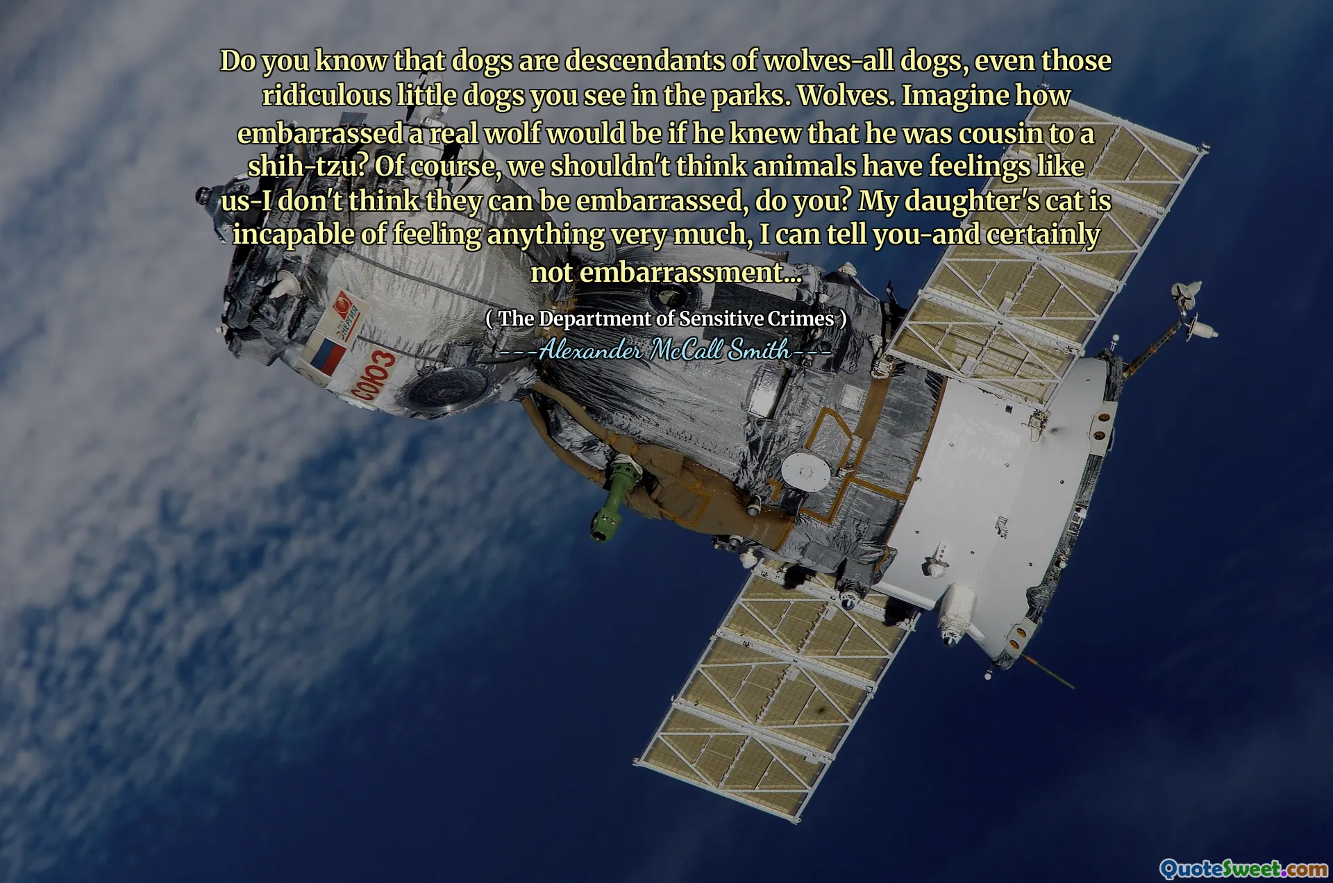 Sai che i cani sono discendenti di lupi, tutti i cani, anche quei ridicole cagnolini che vedi nei parchi. Lupi. Immagina quanto sarebbe imbarazzato un vero lupo se sapesse che era cugino per uno shih-tzu? Certo, non dovremmo pensare che gli animali abbiano sentimenti come noi, non credo che possano essere imbarazzati, vero? Il gatto di mia figlia è incapace di provare qualcosa di molto, posso dirtelo e certamente non imbarazzante ...