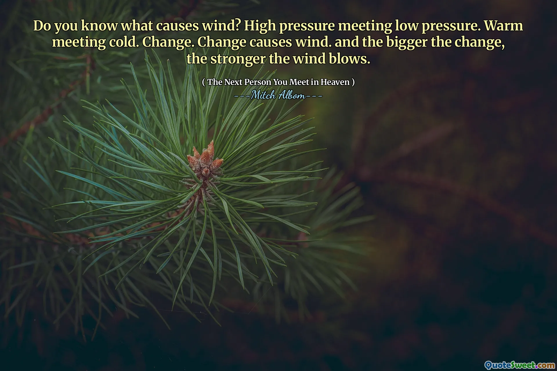 Do you know what causes wind? High pressure meeting low pressure. Warm meeting cold. Change. Change causes wind. and the bigger the change, the stronger the wind blows.