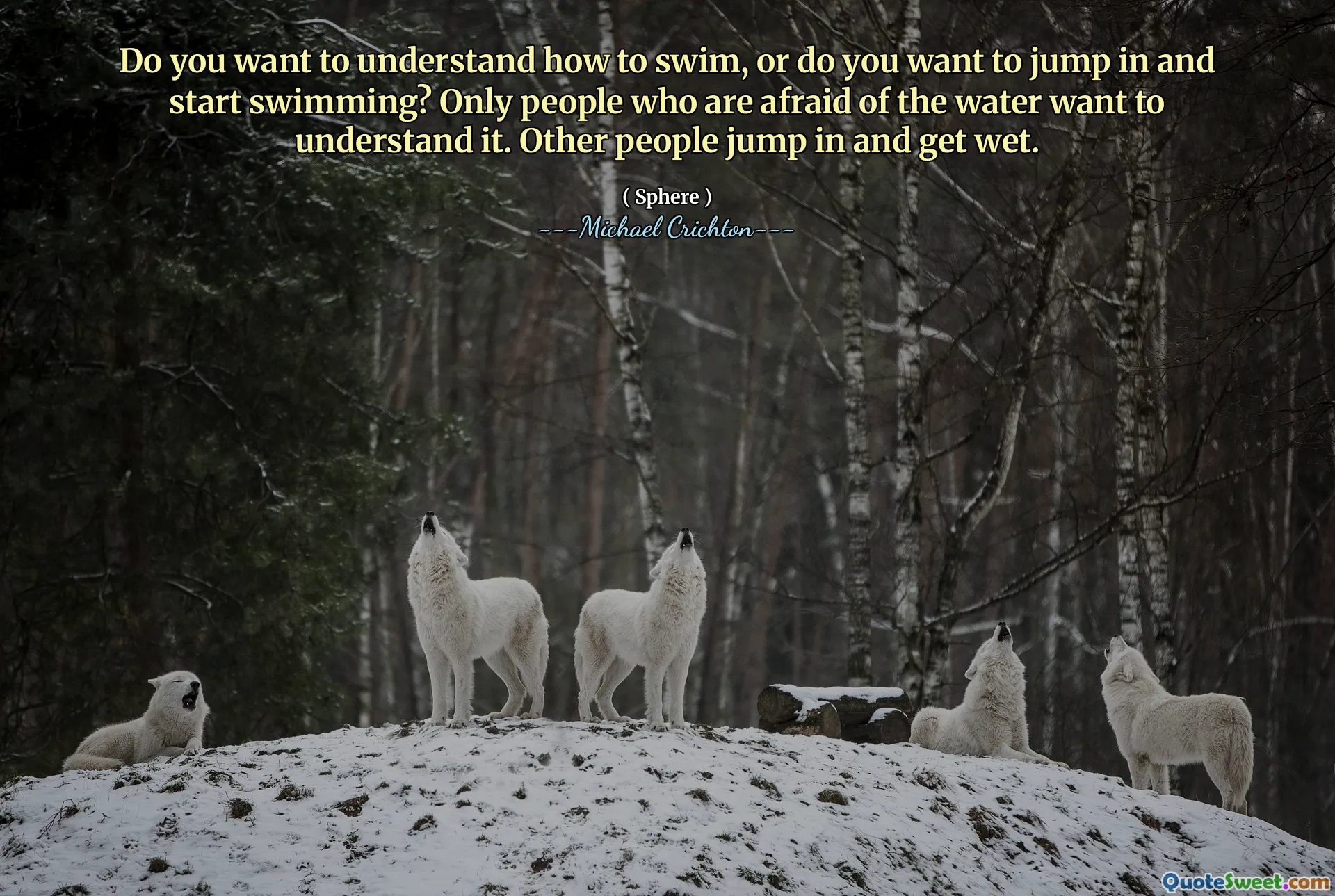 您想了解如何游泳，还是想跳入游泳？只有害怕水的人才能理解它。其他人跳进去弄湿。