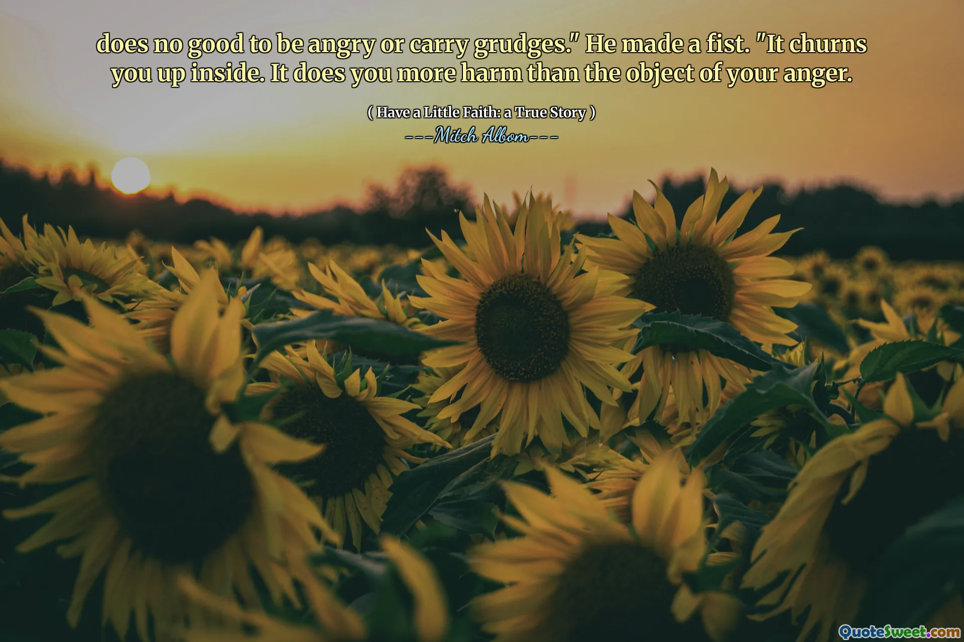 Não é bom ficar com raiva ou carregar rancores. "Ele fez um punho." Isso o agita por dentro. Isso causa mais mal do que o objeto de sua raiva.