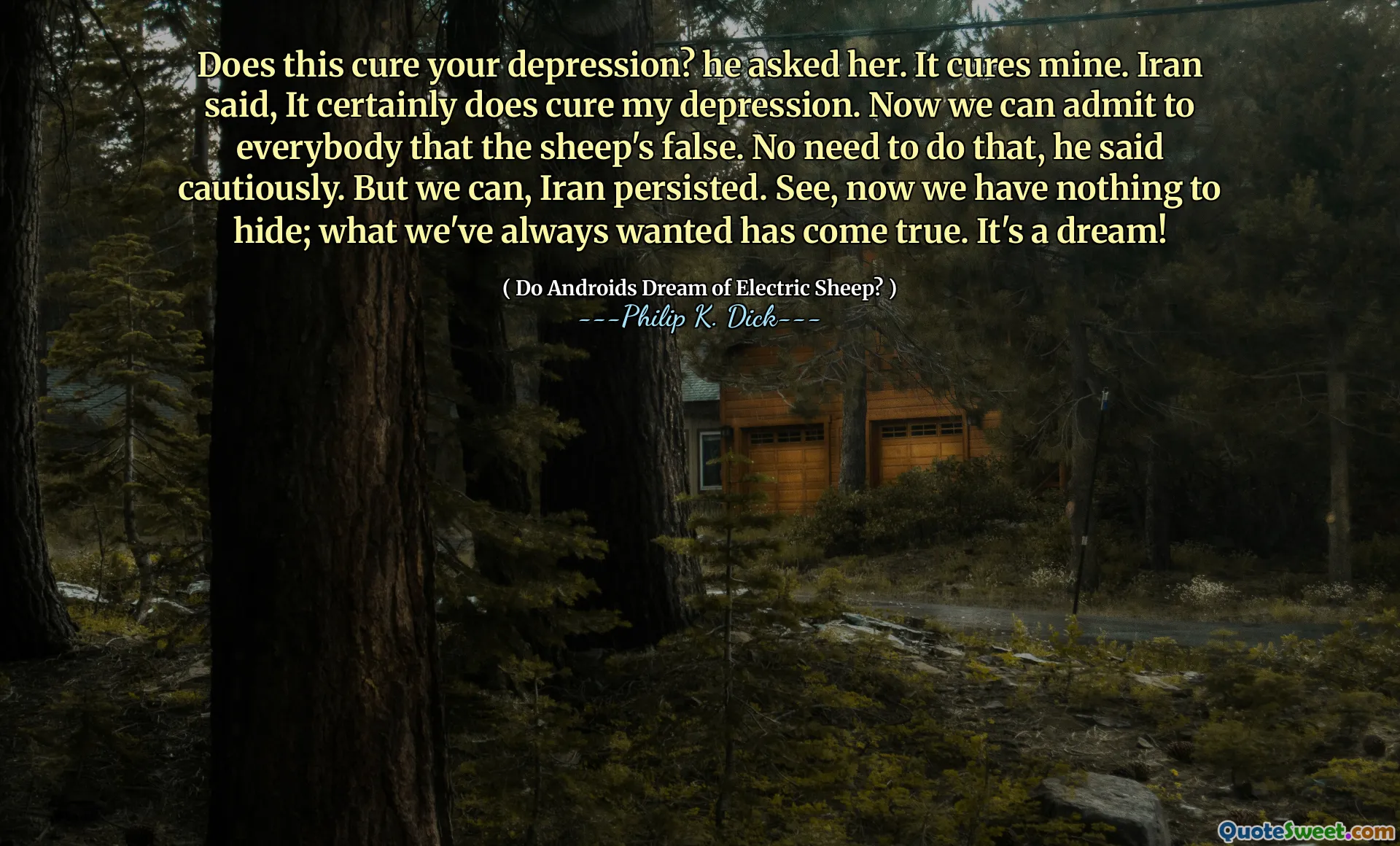 Acest lucru vă vindecă depresia? a întrebat -o. Îl vindecă pe al meu. Iranul a spus că, cu siguranță, îmi vindecă depresia. Acum putem recunoaște tuturor că oile sunt false. Nu este nevoie să faci asta, a spus el cu precauție. Dar putem, Iran a persistat. Vezi, acum nu avem nimic de ascuns; Ceea ce ne -am dorit întotdeauna s -a împlinit. Este un vis!
