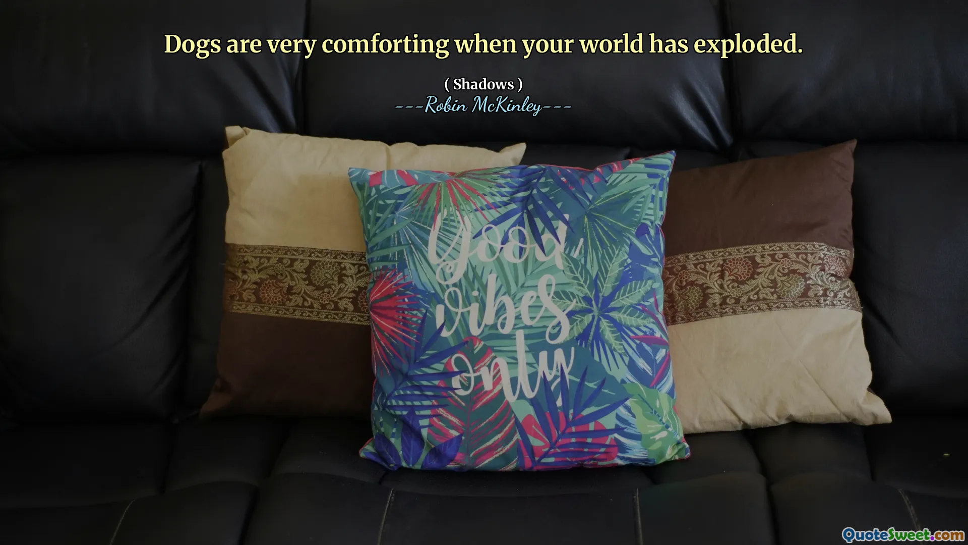 Dogs are very comforting when your world has exploded.