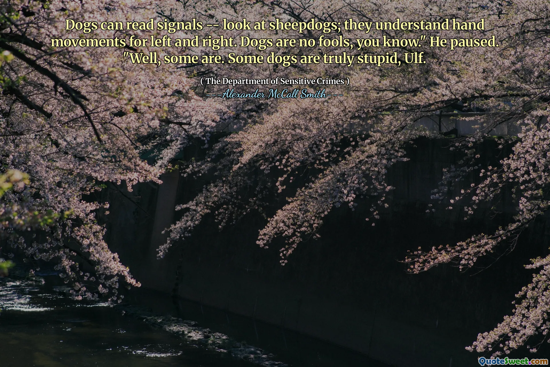 Dogs can read signals -- look at sheepdogs; they understand hand movements for left and right. Dogs are no fools, you know." He paused. "Well, some are. Some dogs are truly stupid, Ulf.