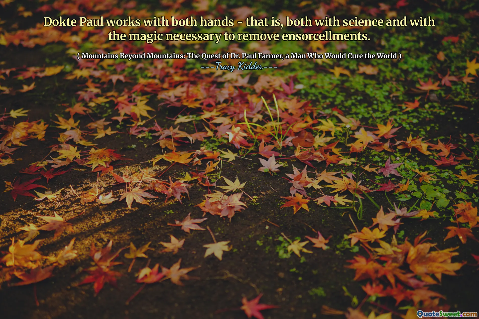 Dokt Paul arbeitet mit beiden Händen - das heißt, sowohl mit der Wissenschaft als auch mit der Magie, die erforderlich ist, um Ensorzellen zu entfernen.