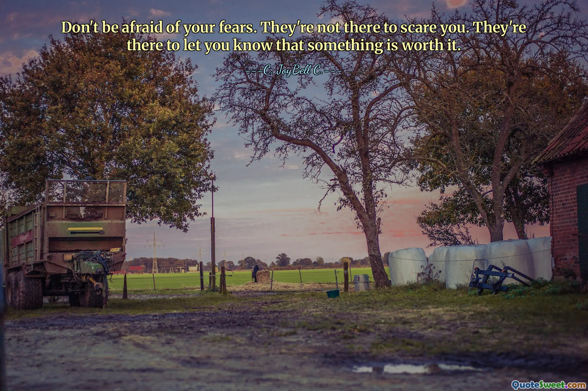 Don't be afraid of your fears. They're not there to scare you. They're there to let you know that something is worth it.