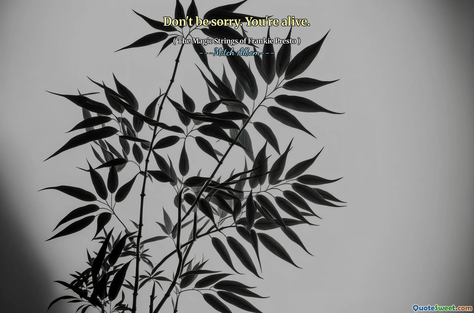 Don't be sorry. You're alive.