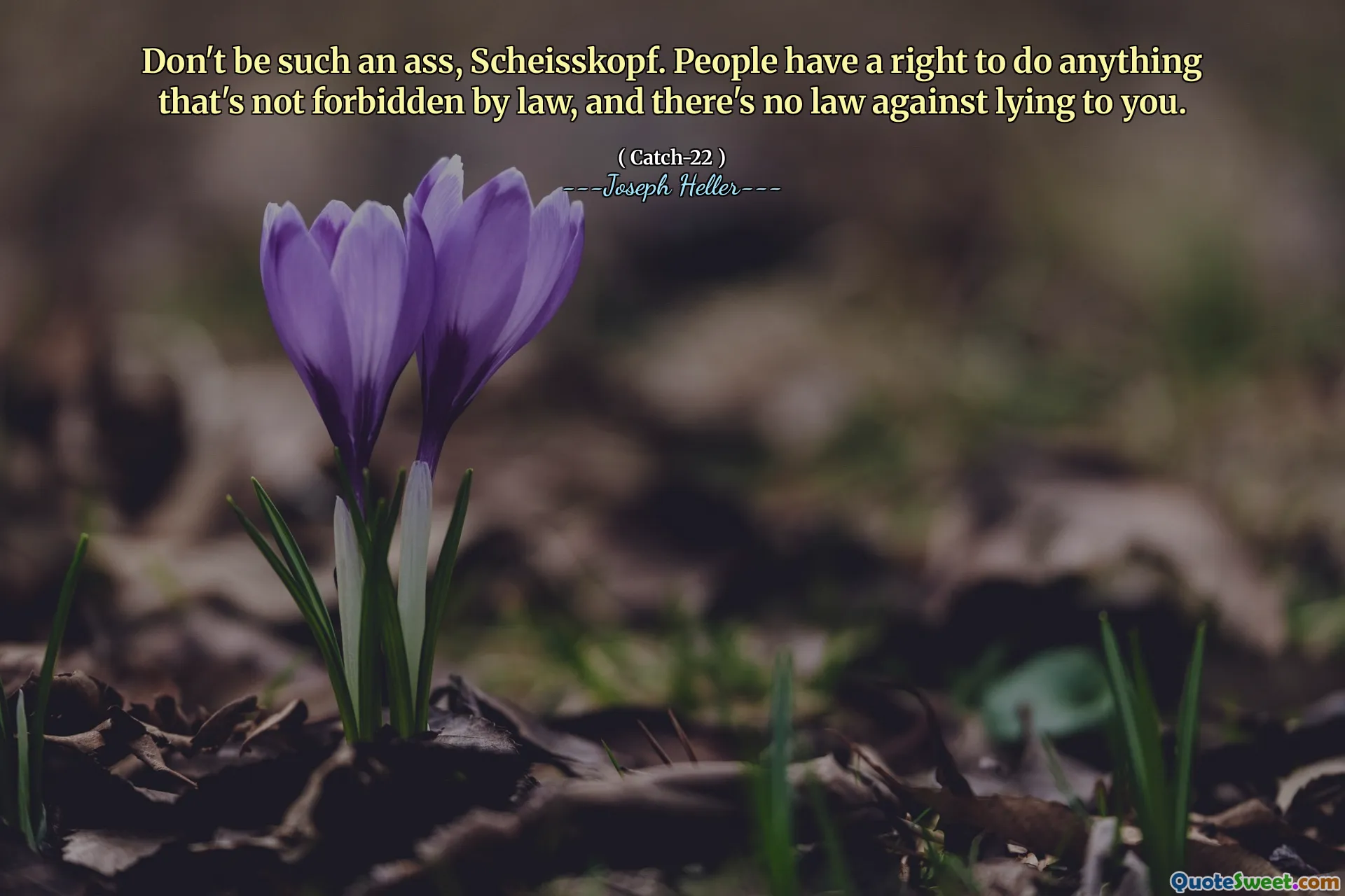 Var inte en sådan röv, Scheisskopf. Människor har rätt att göra allt som inte är förbjudet enligt lag, och det finns ingen lag mot att ljuga för dig.