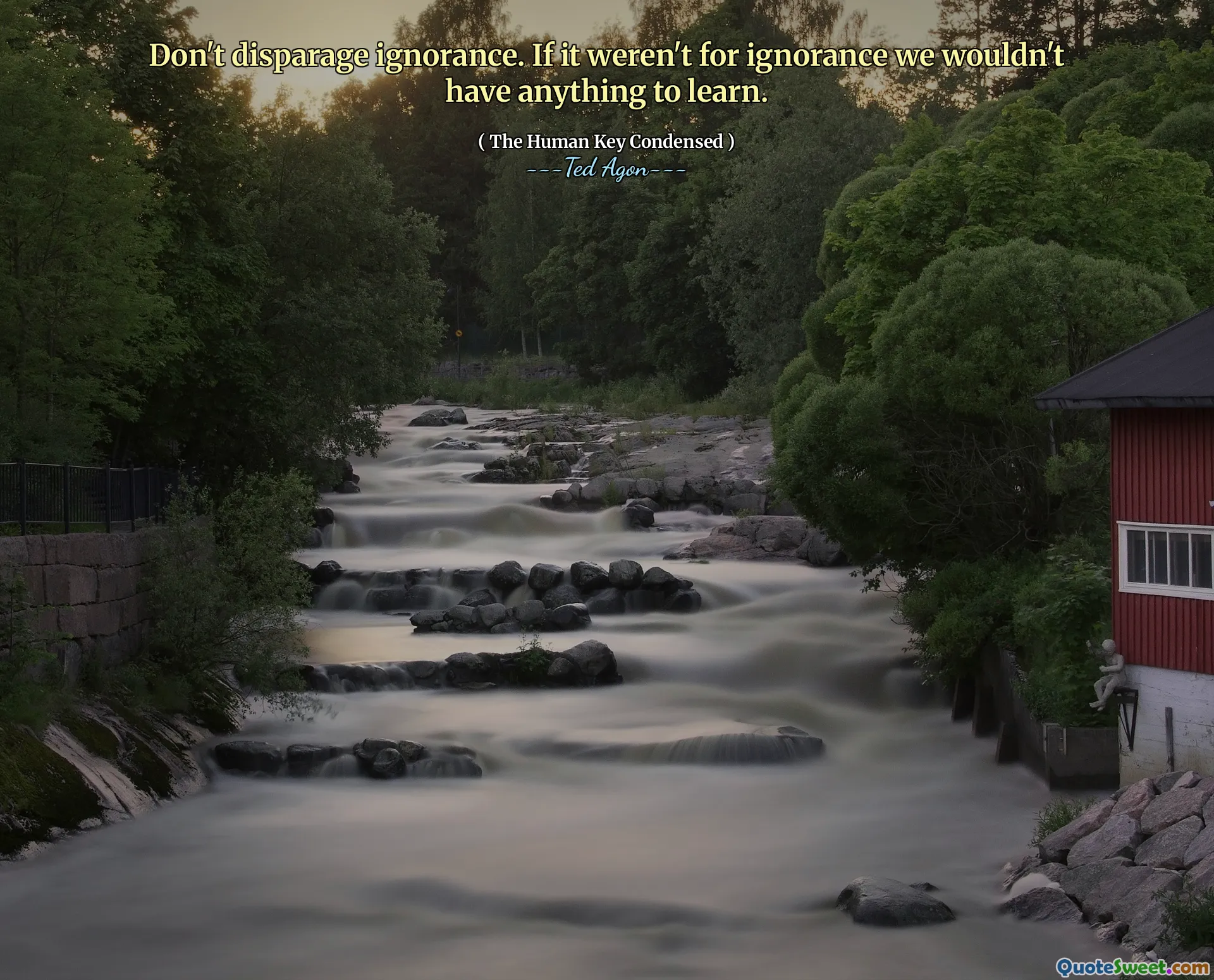 Don't disparage ignorance. If it weren't for ignorance we wouldn't have anything to learn.