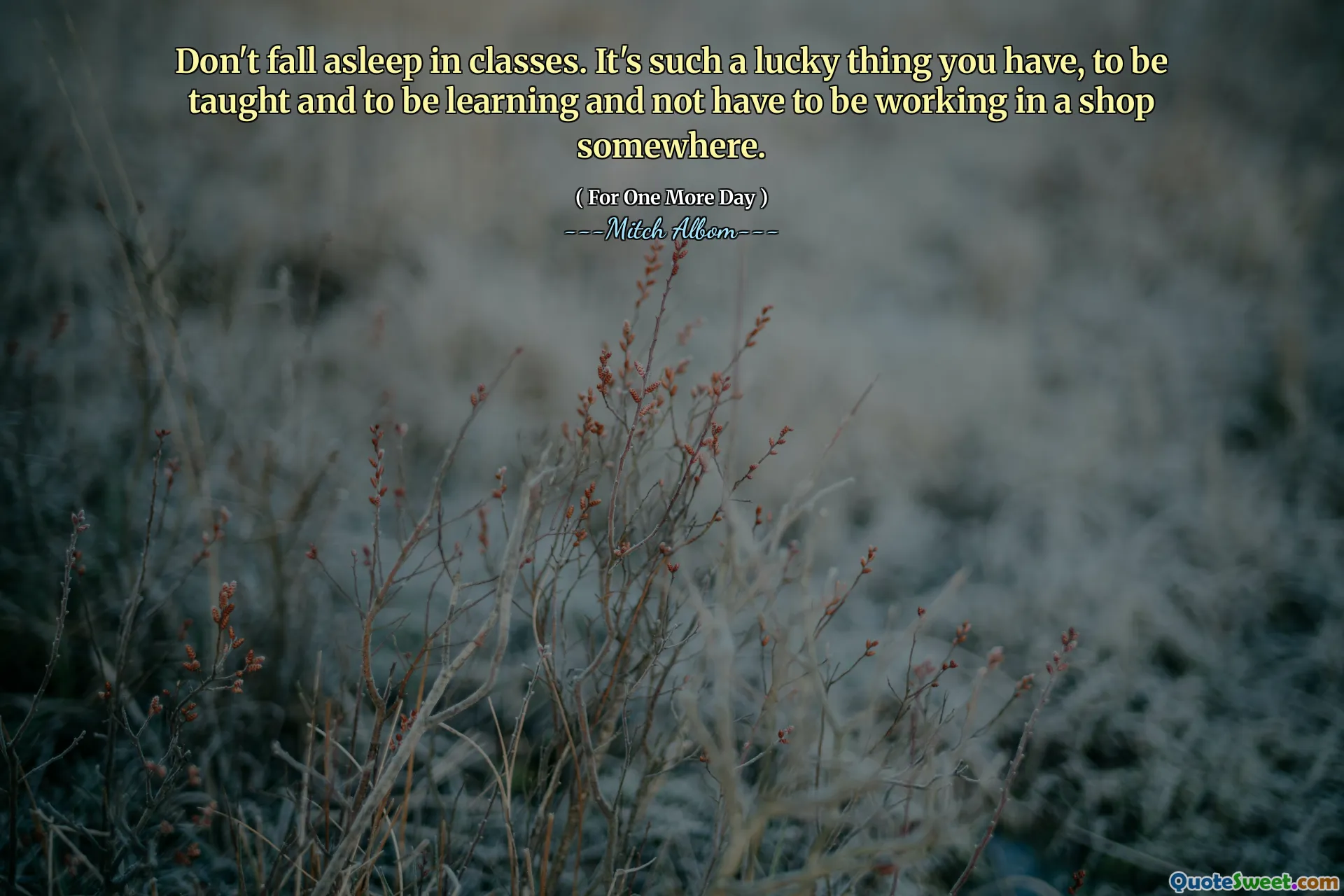 Jangan tertidur di kelas. Ini adalah hal yang beruntung yang Anda miliki, diajarkan dan belajar dan tidak harus bekerja di toko di suatu tempat.