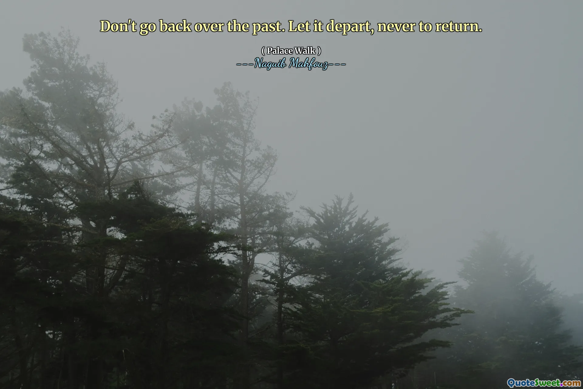 ნუ დაბრუნდები წარსულში. დაე, იგი წავიდეს, არასდროს დაბრუნდეს.