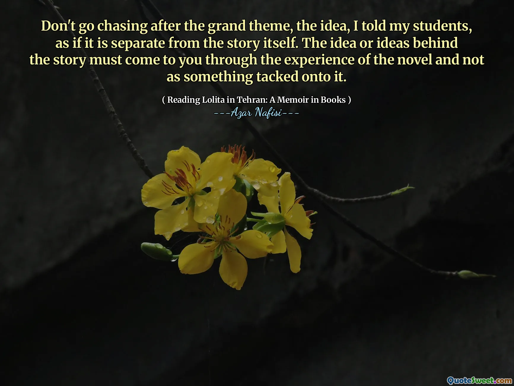 Ikke å jage etter det store temaet, ideen, jeg fortalte elevene mine, som om den er atskilt fra selve historien. Ideen eller ideene bak historien må komme til deg gjennom opplevelsen av romanen og ikke som noe som er taklet på den.