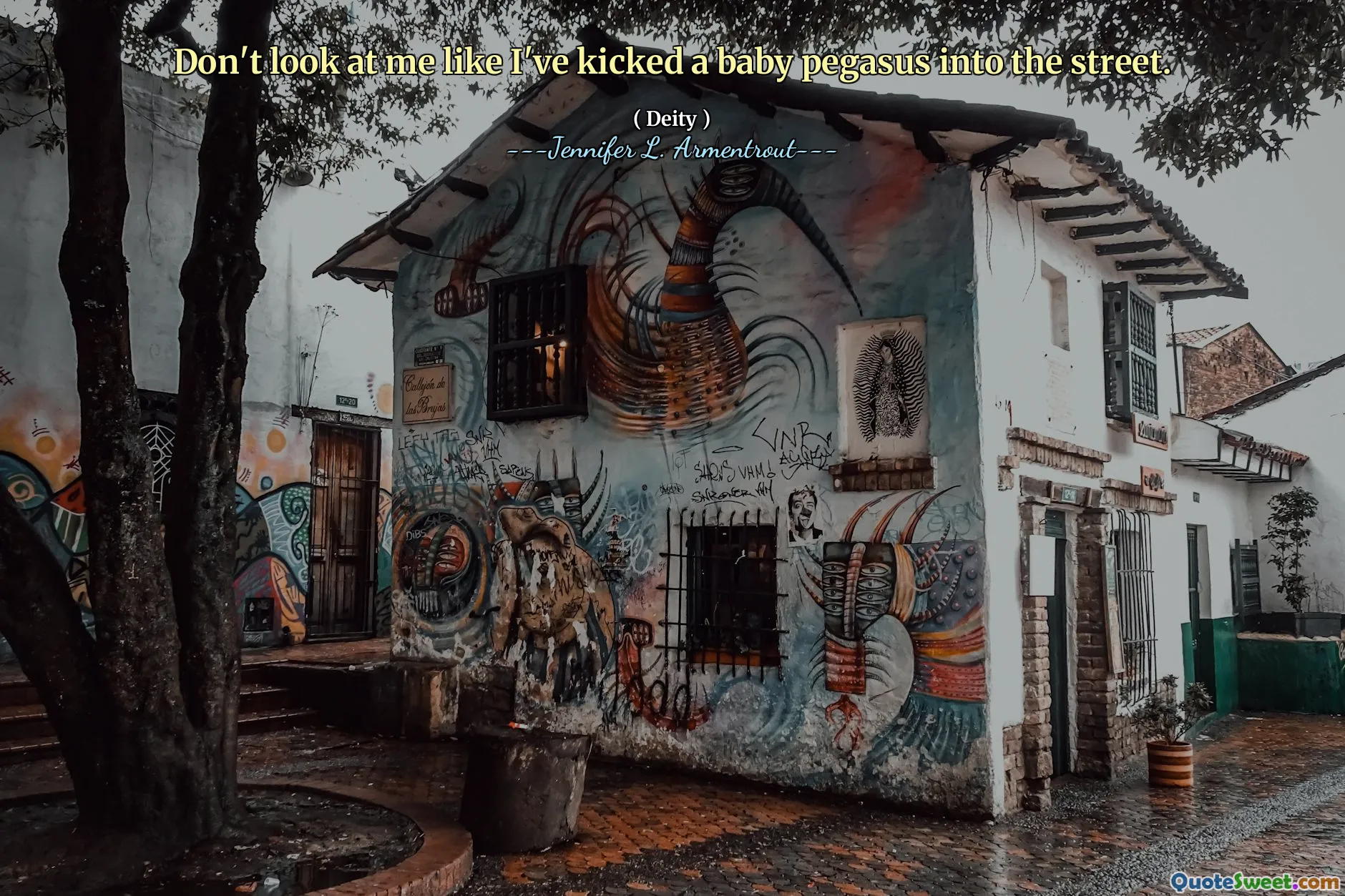 Don't look at me like I've kicked a baby pegasus into the street.