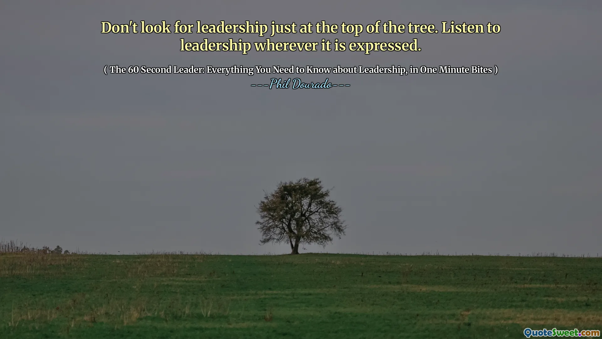 Don't look for leadership just at the top of the tree. Listen to leadership wherever it is expressed.