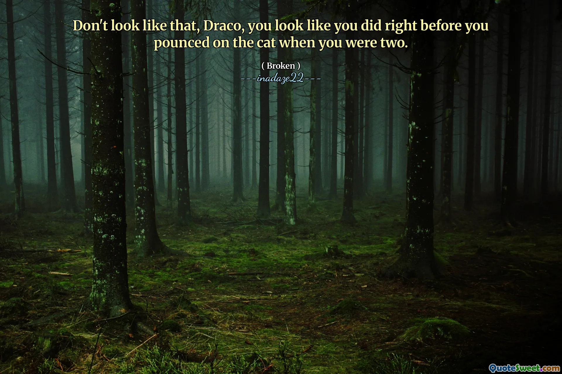 Don't look like that, Draco, you look like you did right before you pounced on the cat when you were two.