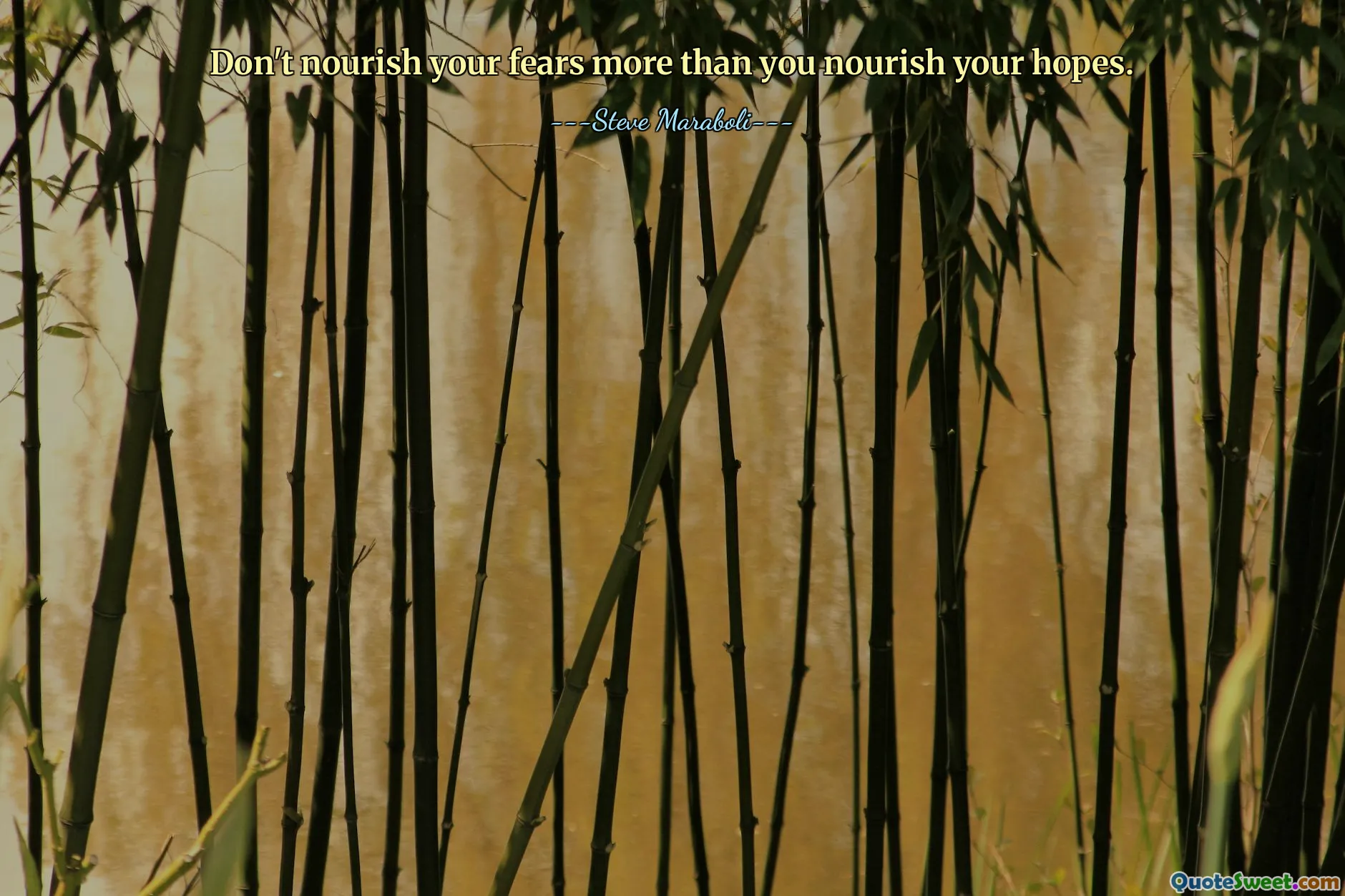 Don't nourish your fears more than you nourish your hopes.