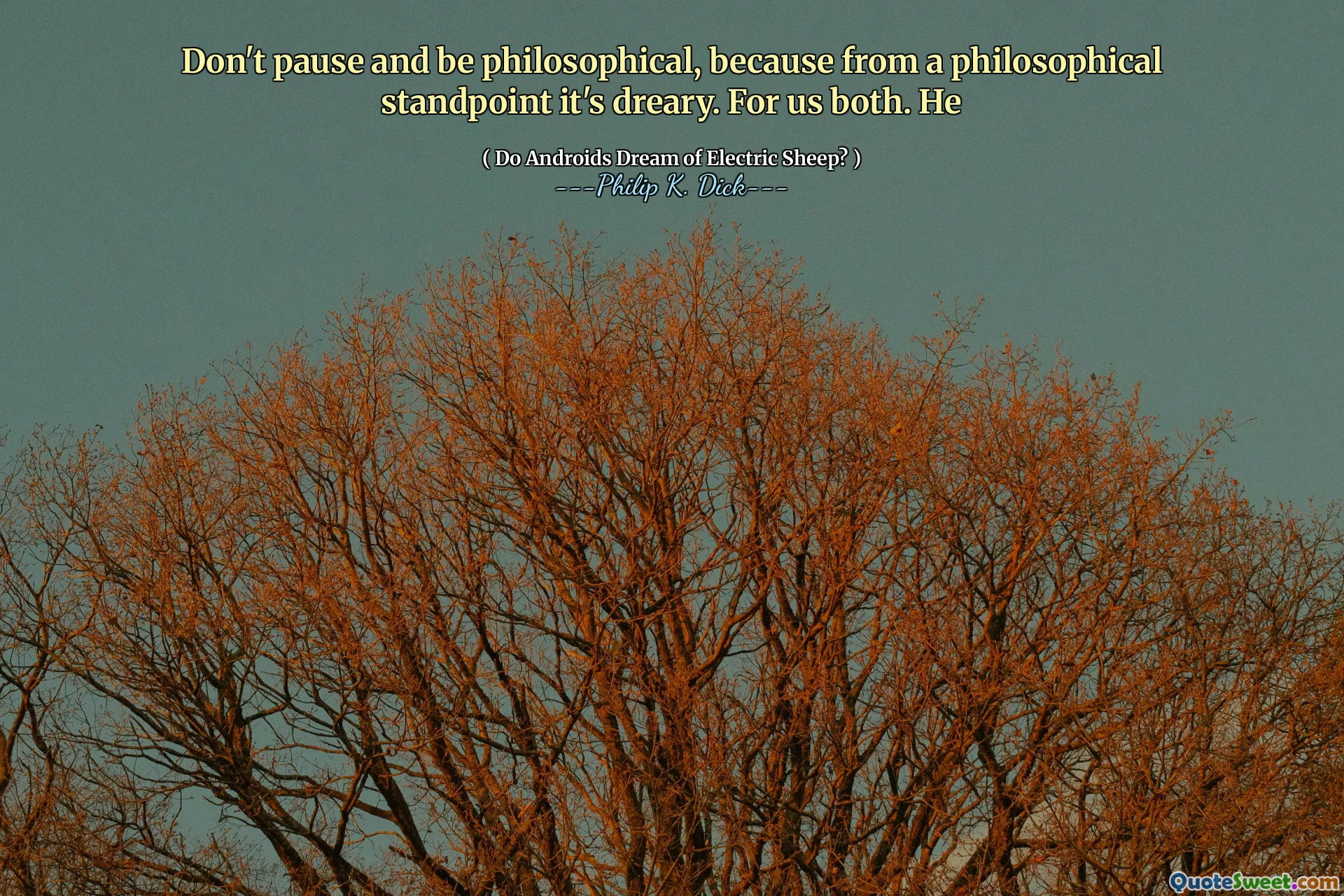 Ikke pause og vær filosofisk, for fra et filosofisk synspunkt er det kjedelig. For oss begge. Han