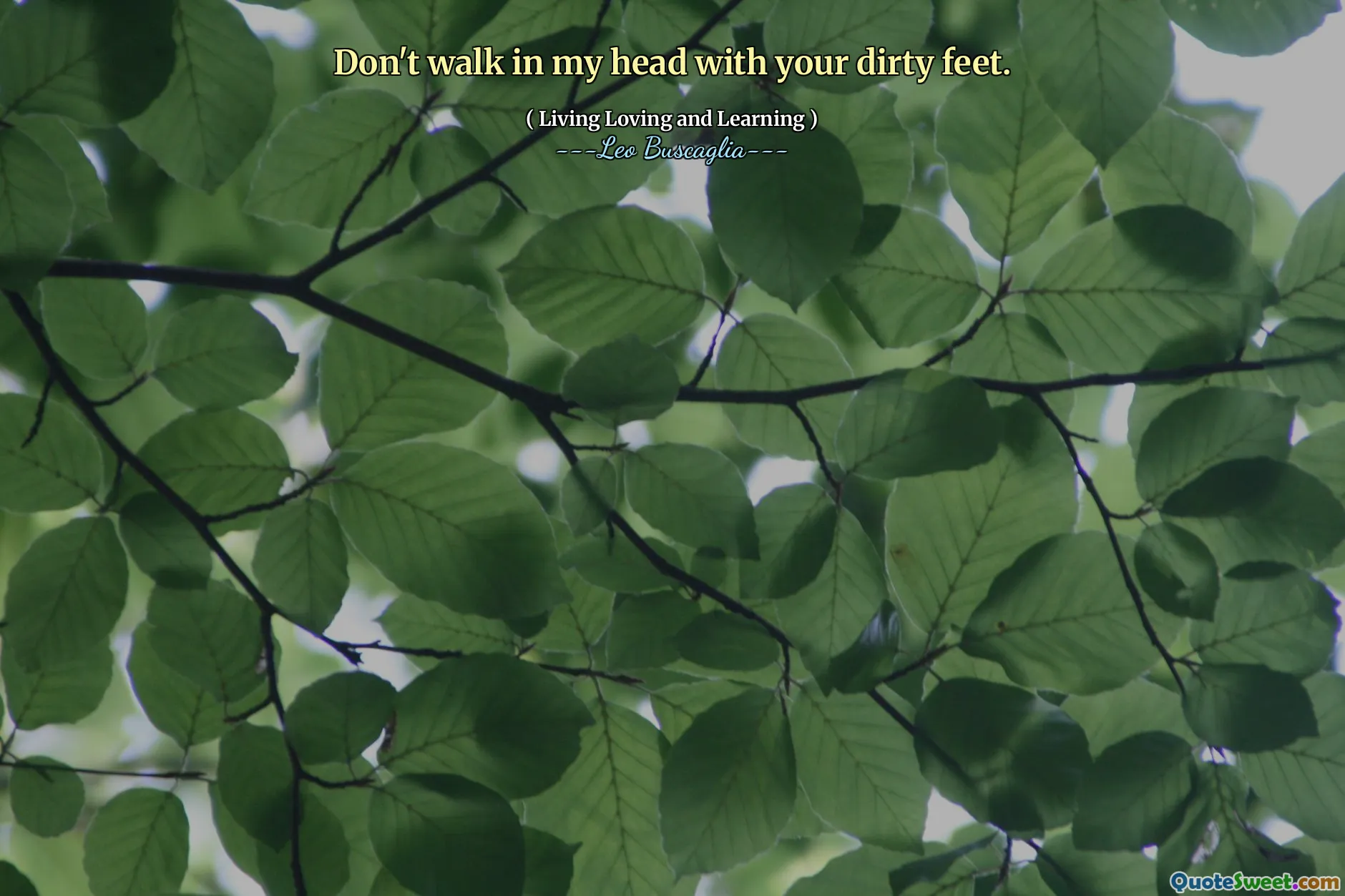 Don't walk in my head with your dirty feet.
