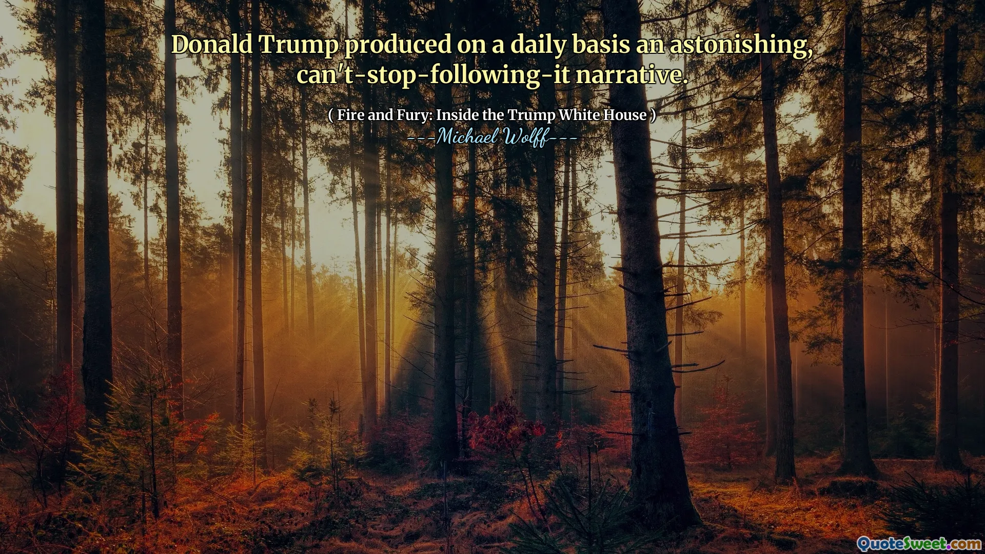 Donald Trump produced on a daily basis an astonishing, can't-stop-following-it narrative.