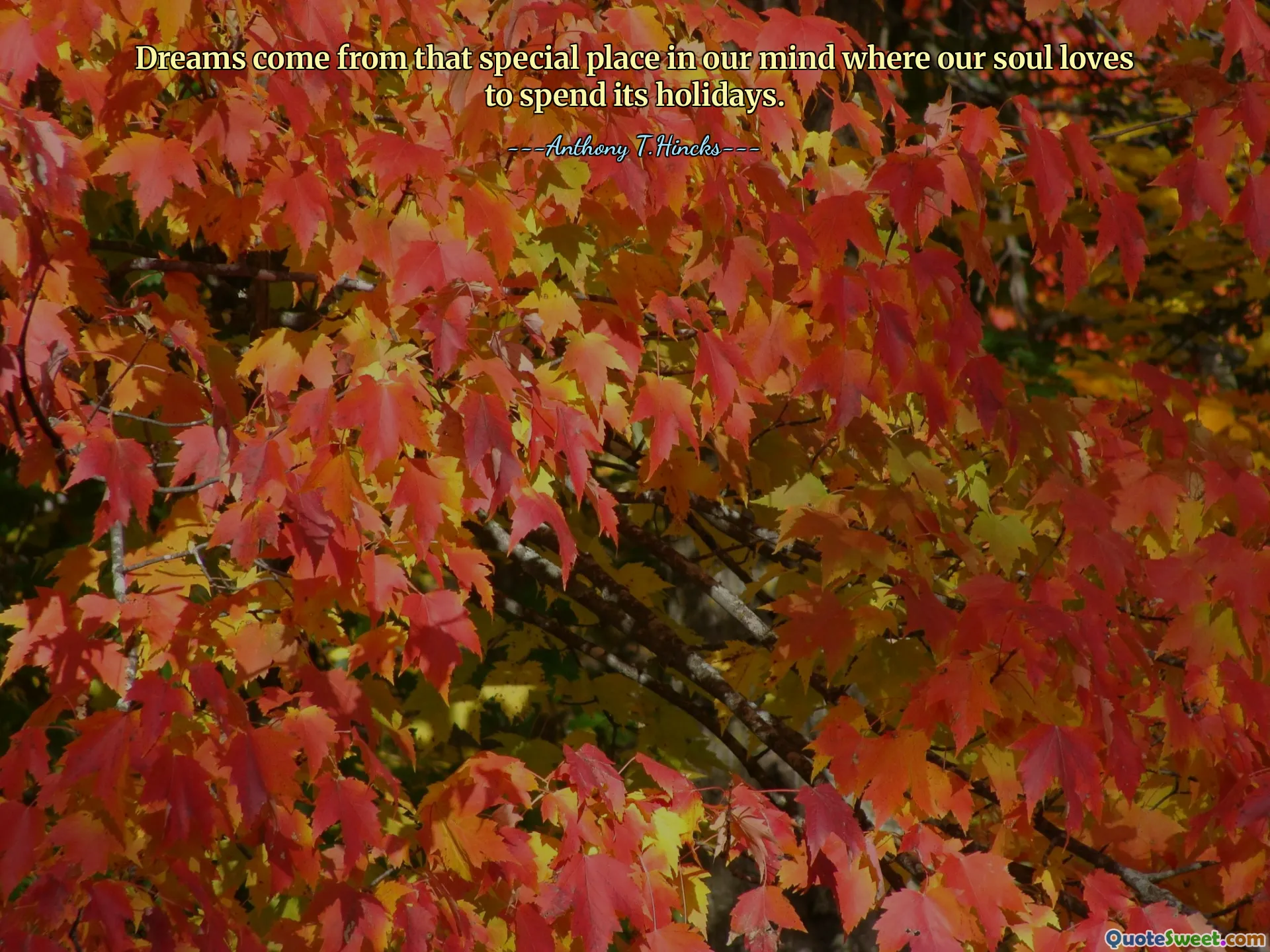 Dreams come from that special place in our mind where our soul loves to spend its holidays.