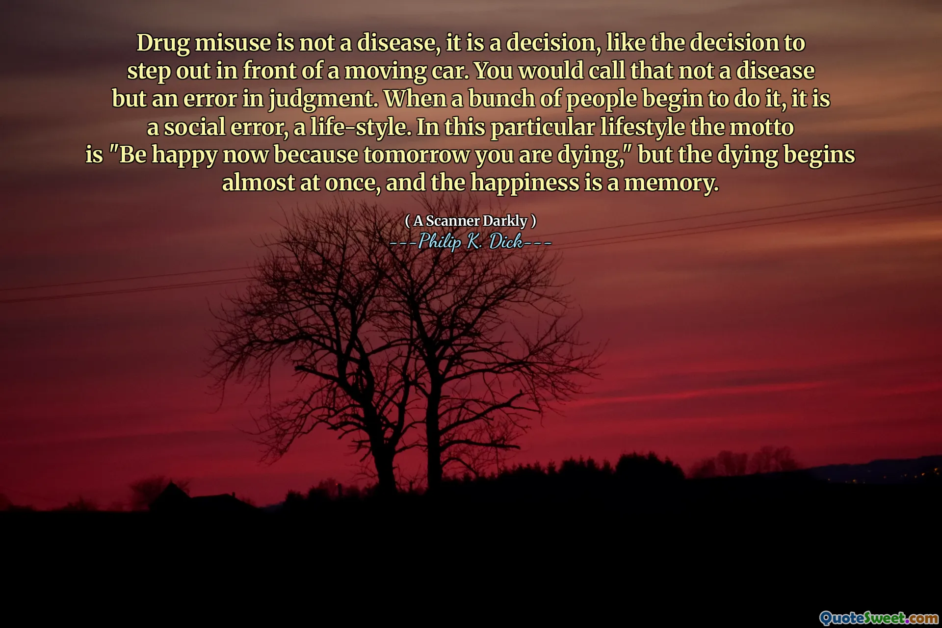 Zneužívání drog není nemoc, jedná se o rozhodnutí, jako je rozhodnutí vystoupit před pohybující se auto. To byste nazvali ne onemocněním, ale chybou v úsudku. Když to spousta lidí začne dělat, jedná se o sociální chybu, životní styl. V tomto konkrétním životním stylu je motto „Buďte šťastné, protože zítra umíráte“, ale umírání začíná téměř najednou a štěstí je paměť.