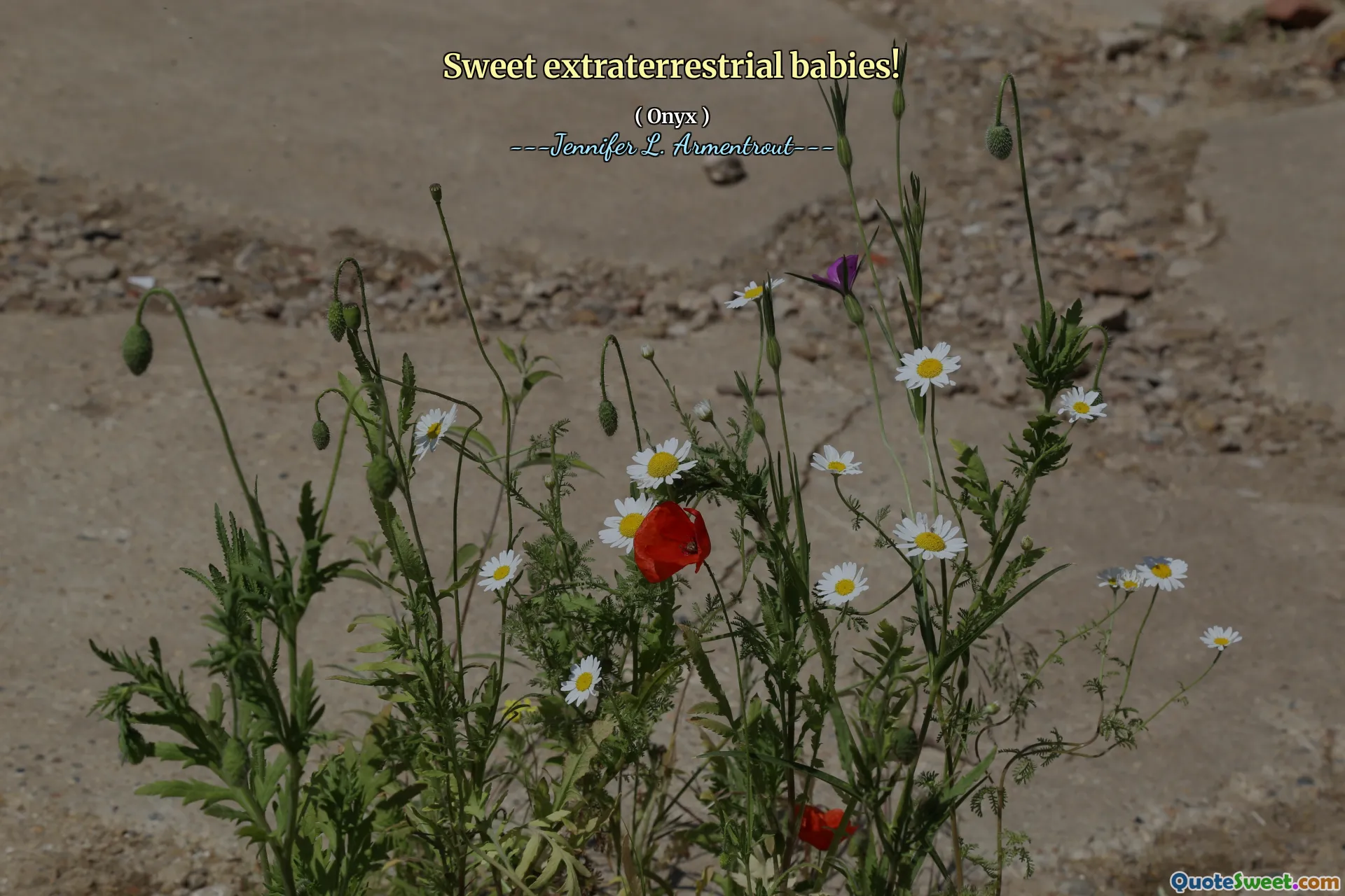 Sweet extraterrestrial babies!