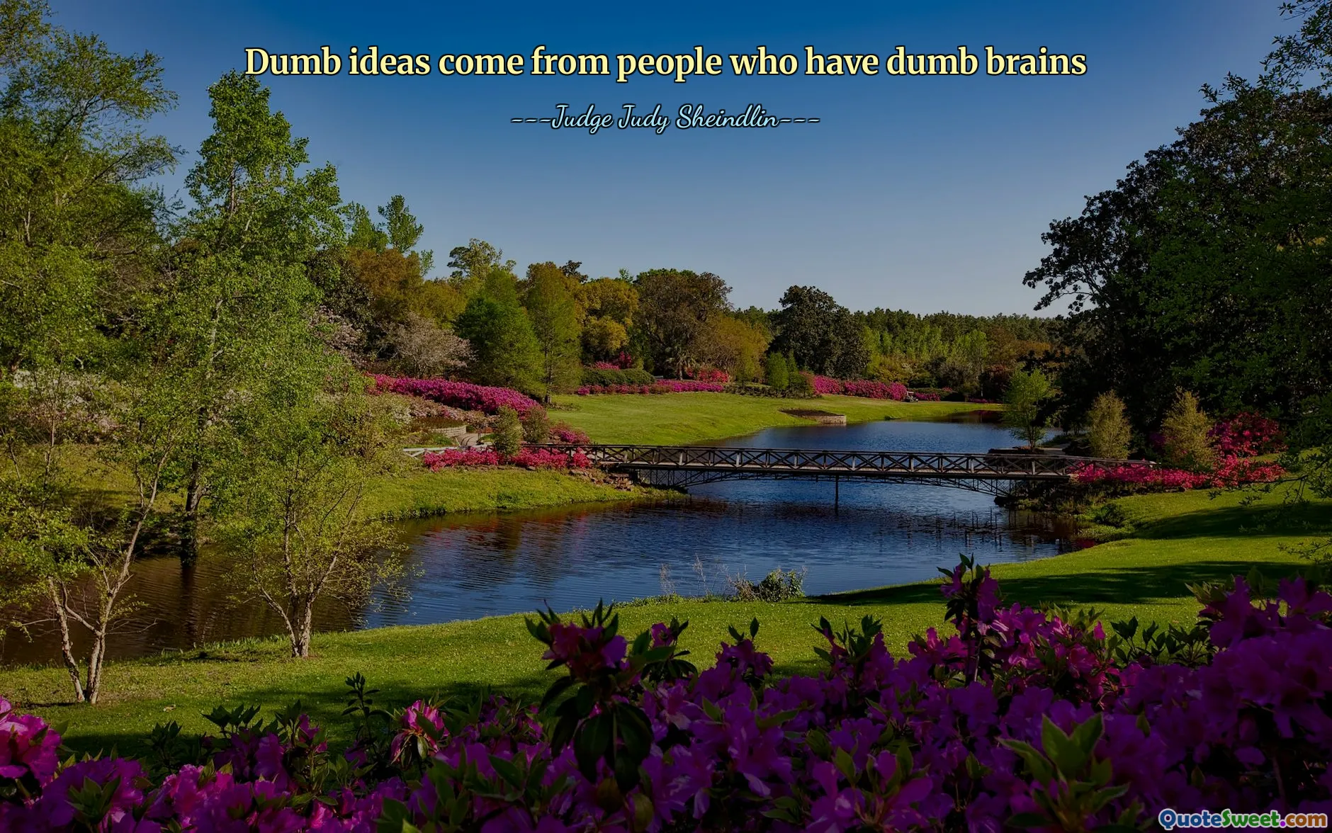 Dumb ideas come from people who have dumb brains