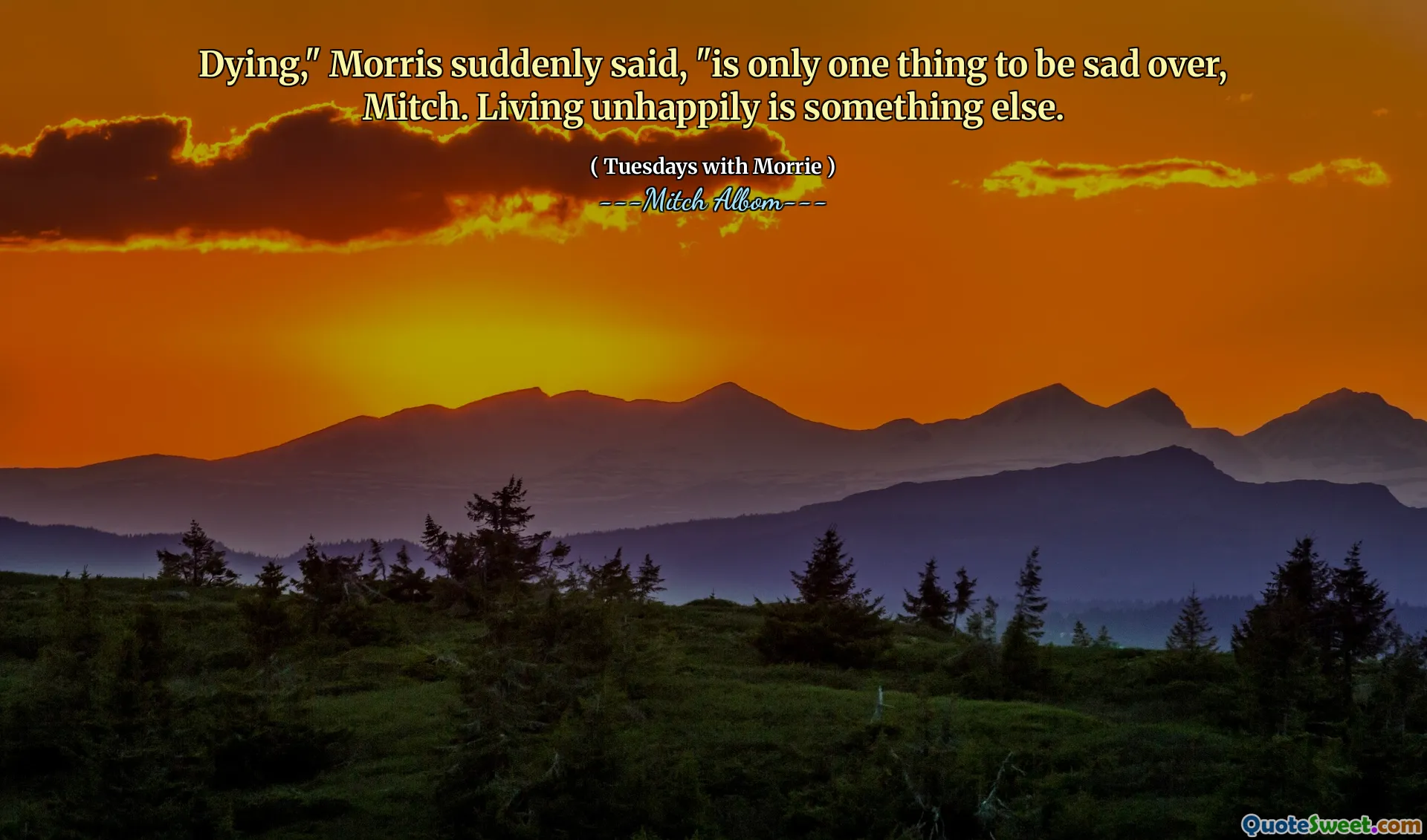 米奇（Mitch）垂死，“莫里斯突然说：“莫里斯（Morris）只是一件令人难过的事情。不幸的生活是另一回事。