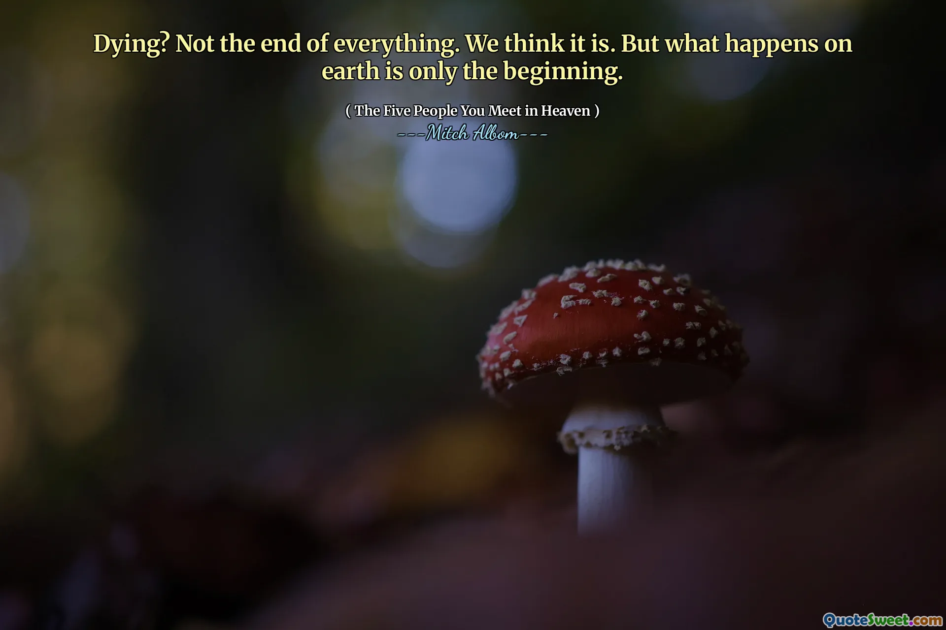 Umírající? Není všemu konec. Myslíme si, že ano. Ale to, co se děje na Zemi, je jen začátek.