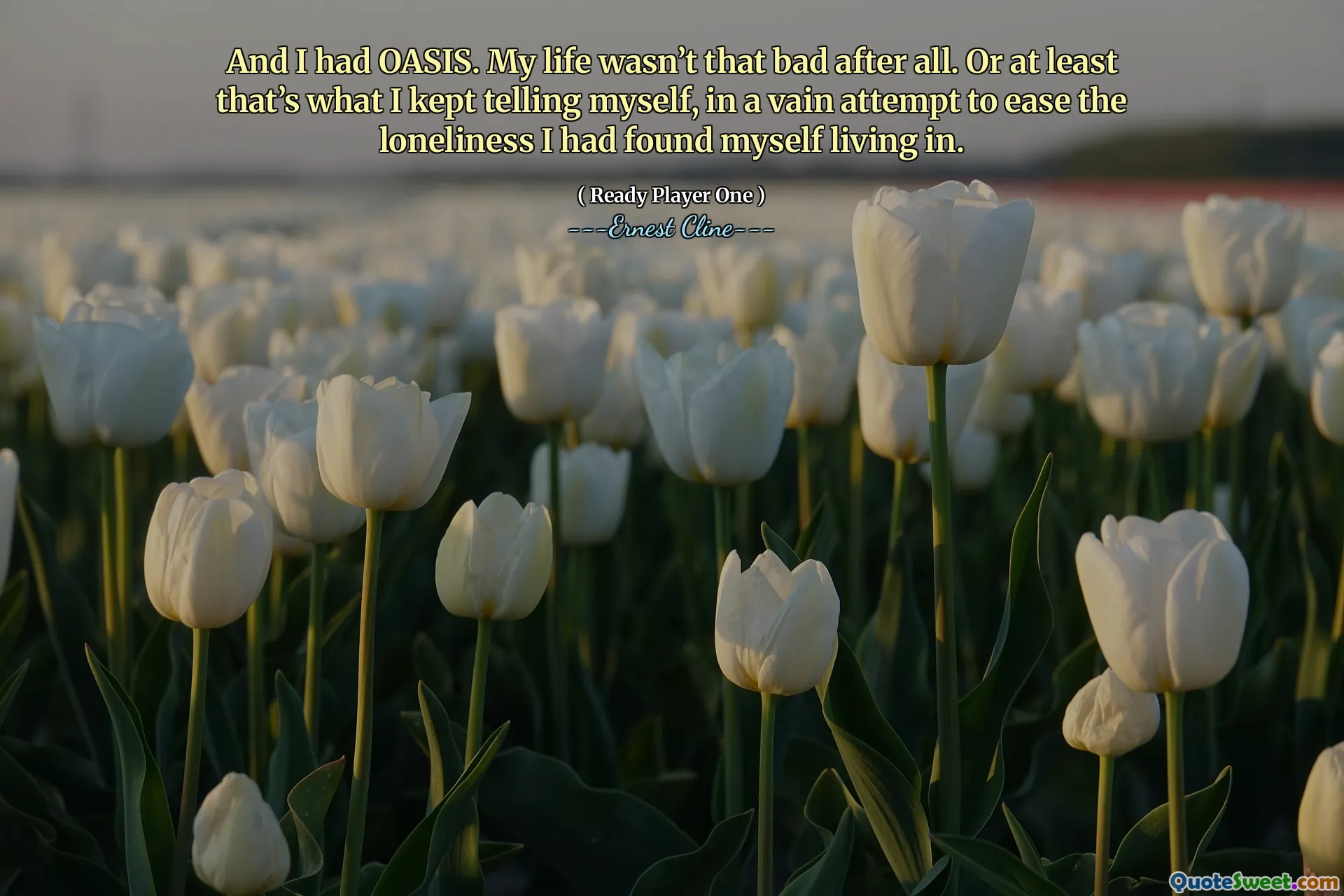 And I had OASIS. My life wasn’t that bad after all. Or at least that’s what I kept telling myself, in a vain attempt to ease the loneliness I had found myself living in.