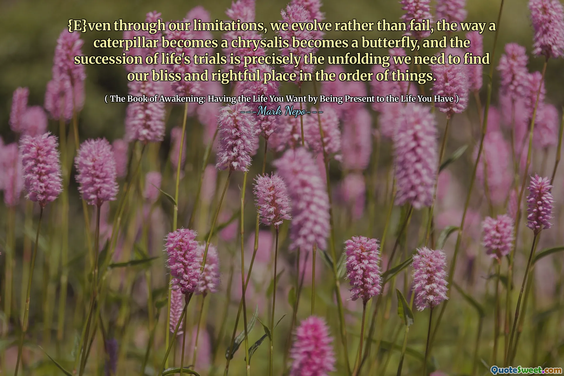 {E}ven through our limitations, we evolve rather than fail, the way a caterpillar becomes a chrysalis becomes a butterfly, and the succession of life's trials is precisely the unfolding we need to find our bliss and rightful place in the order of things.
