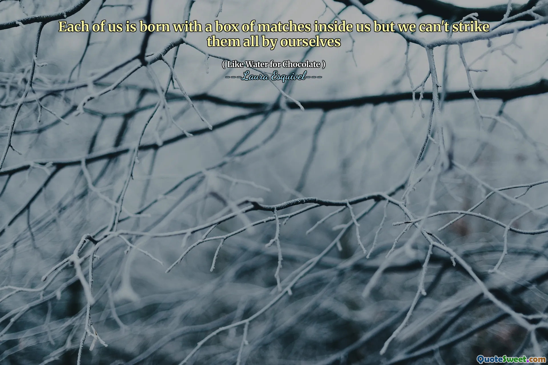 我们每个人天生都有一盒比赛，但我们不能独自击打它们