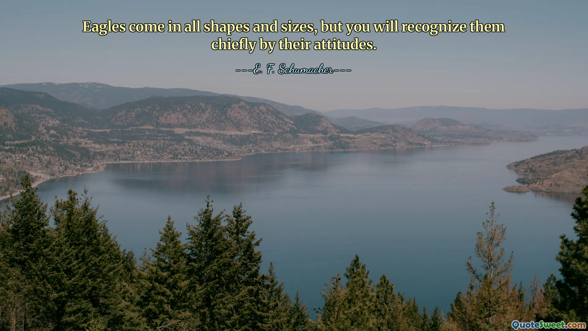 Eagles come in all shapes and sizes, but you will recognize them chiefly by their attitudes.