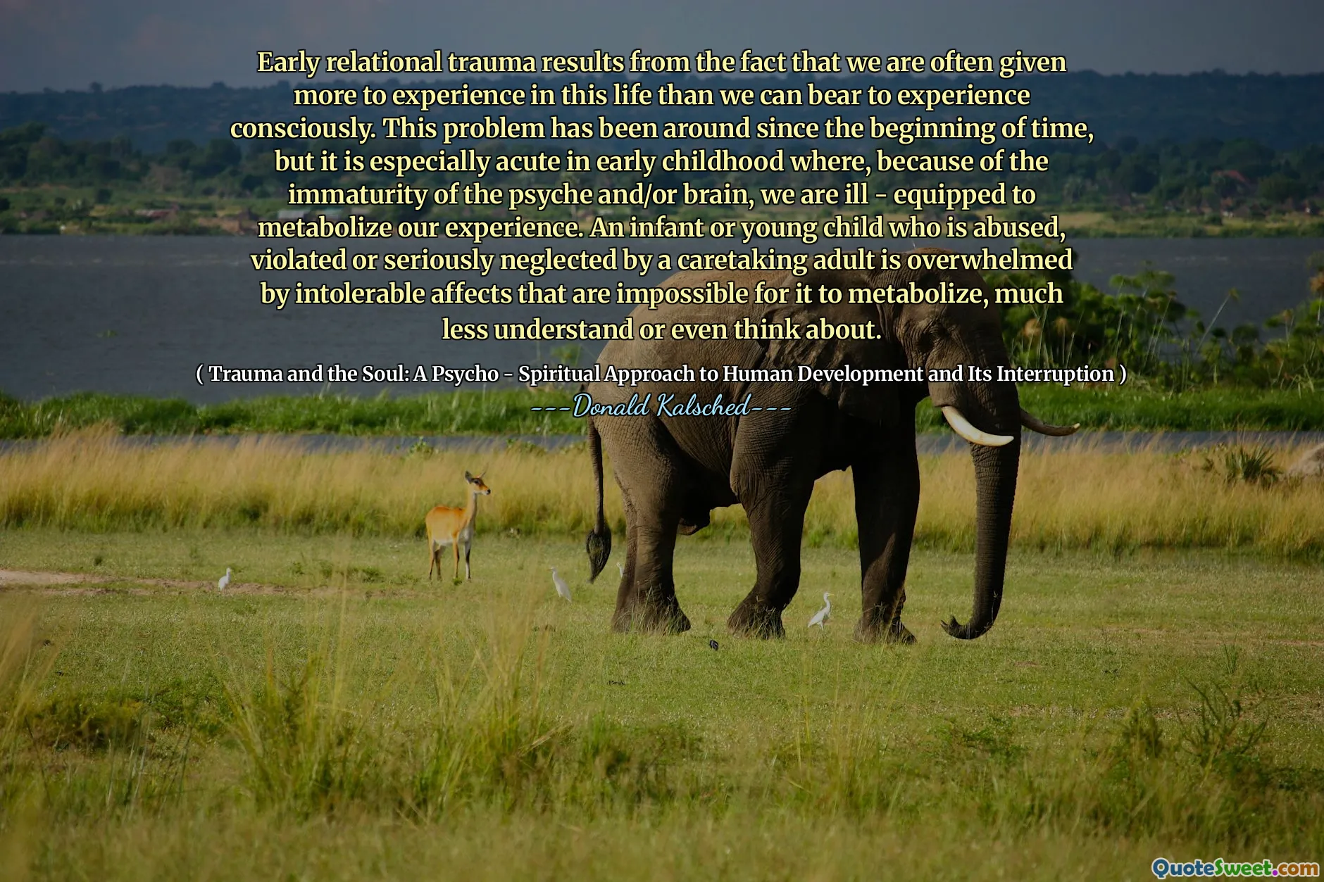 Early relational trauma results from the fact that we are often given more to experience in this life than we can bear to experience consciously. This problem has been around since the beginning of time, but it is especially acute in early childhood where, because of the immaturity of the psyche and/or brain, we are ill - equipped to metabolize our experience. An infant or young child who is abused, violated or seriously neglected by a caretaking adult is overwhelmed by intolerable affects that are impossible for it to metabolize, much less understand or even think about.