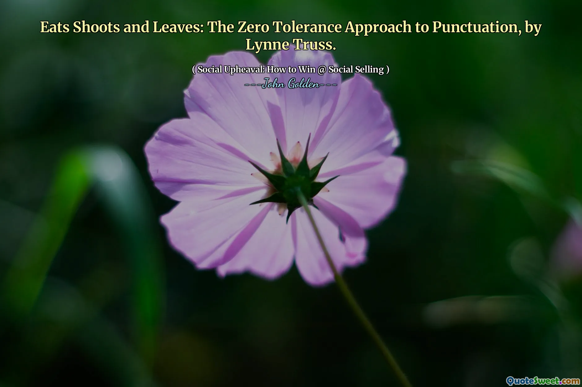 Eats Shoots and Leaves: The Zero Tolerance Approach to Punctuation, by Lynne Truss.